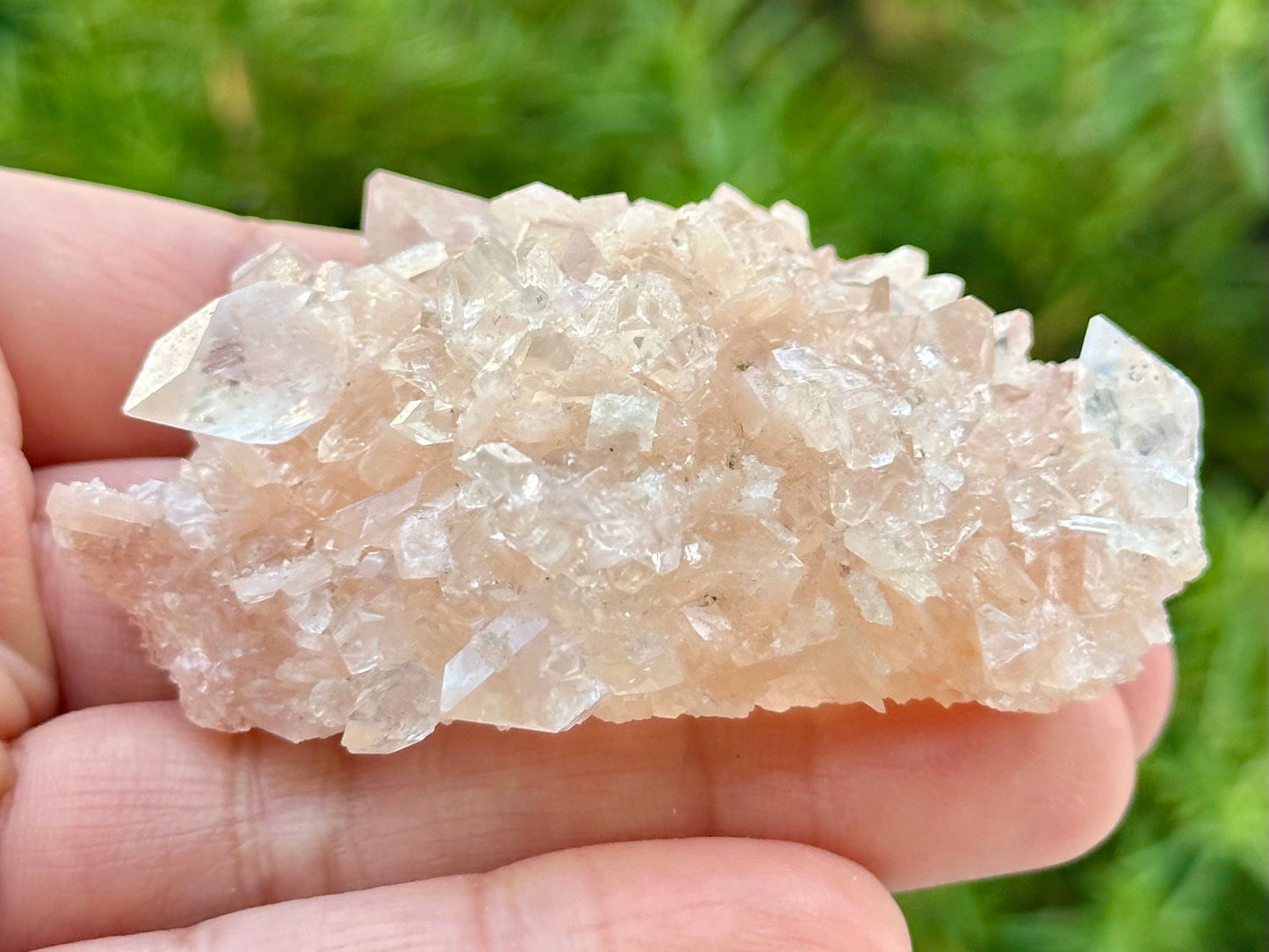 Apophyllite with Stilbite Specimen from India