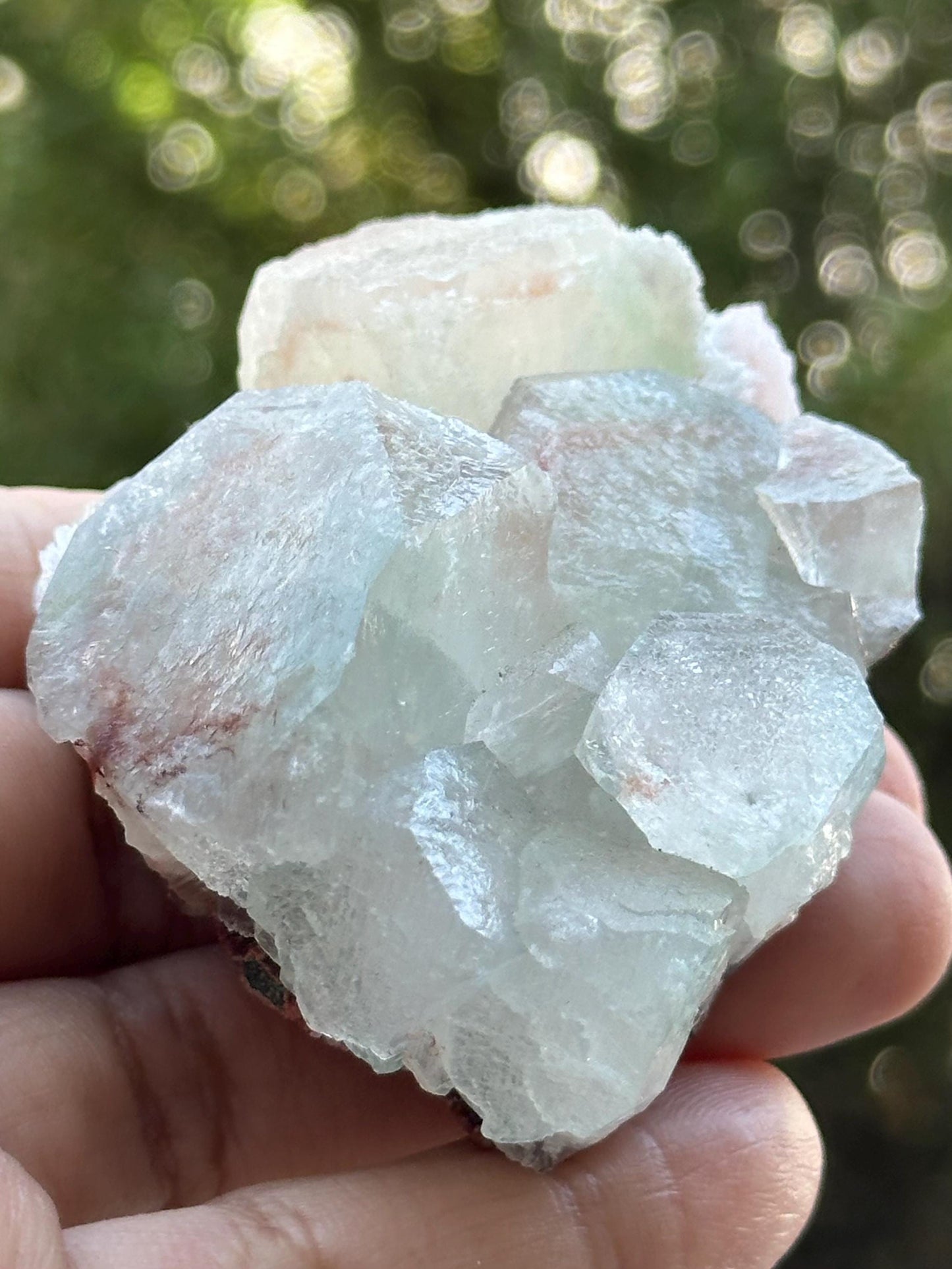 Apophyllite Specimen from India