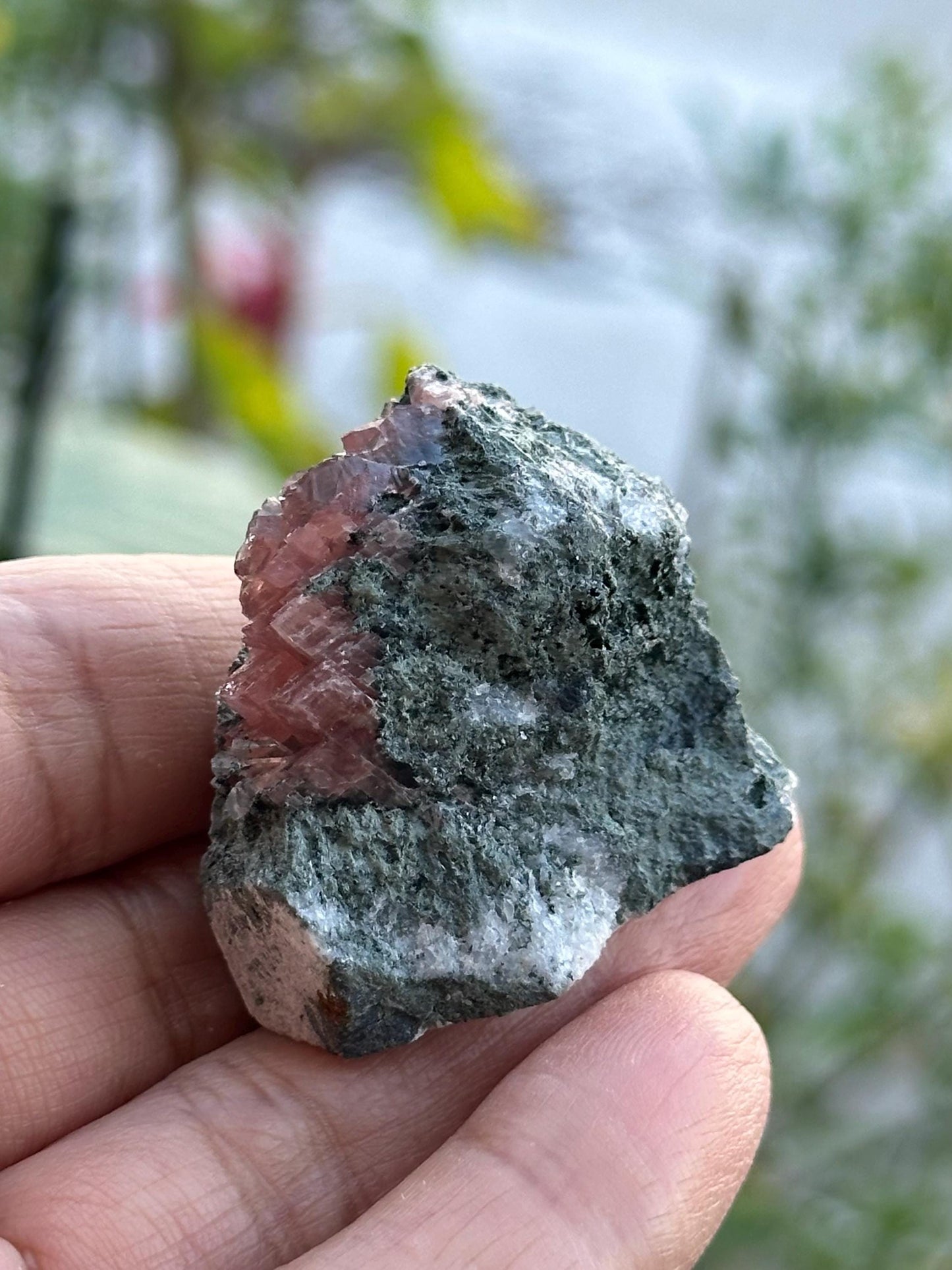 Rhodochrosite on Matrix