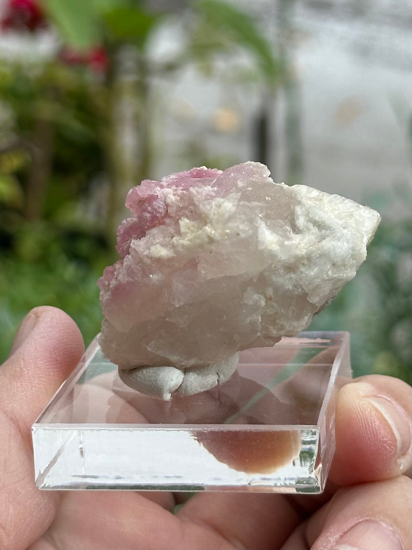 Crystallized Rose Quartz on Quartz with Mica from Brazil