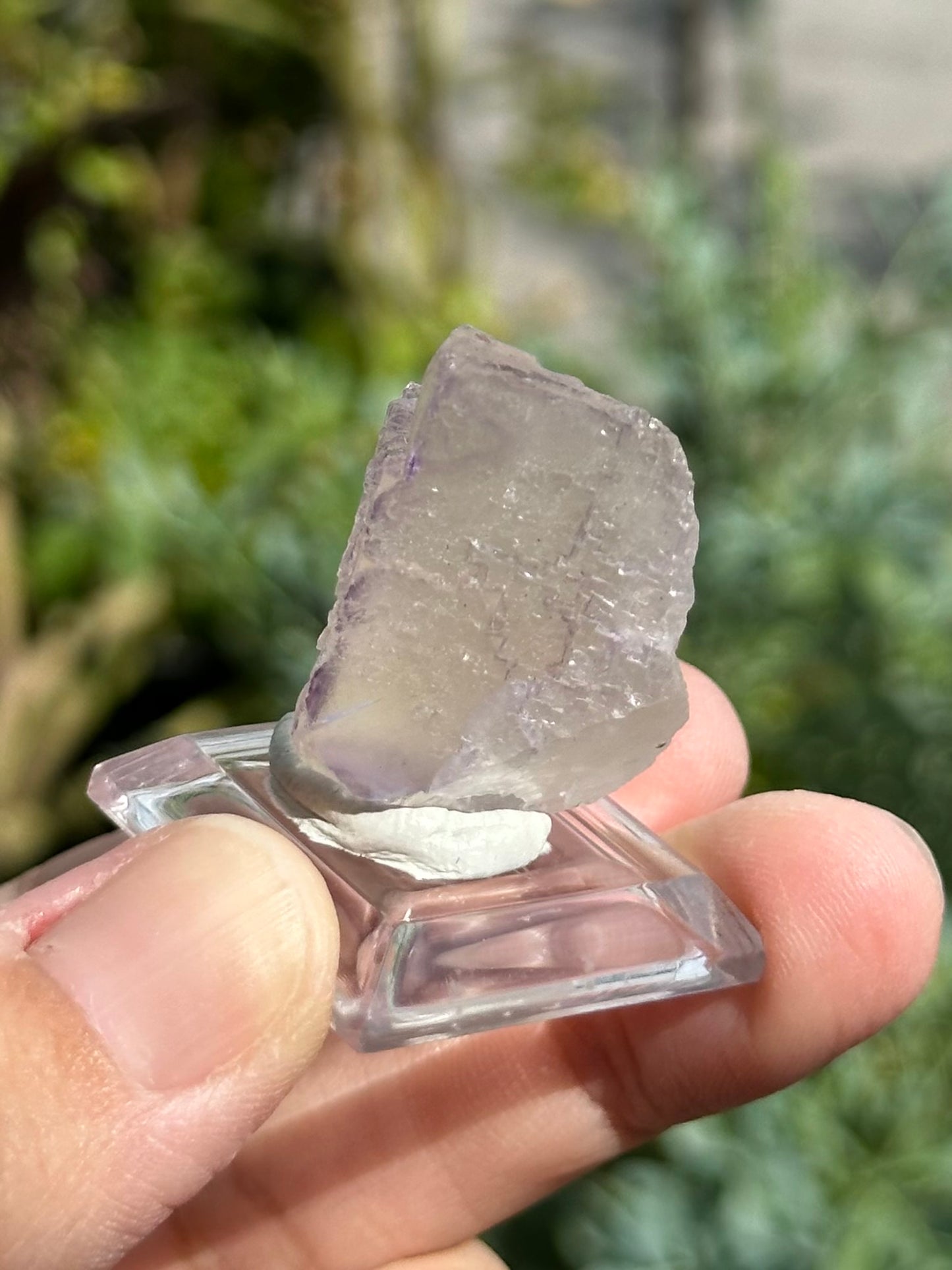 Fluorite from the Elmwood Mine