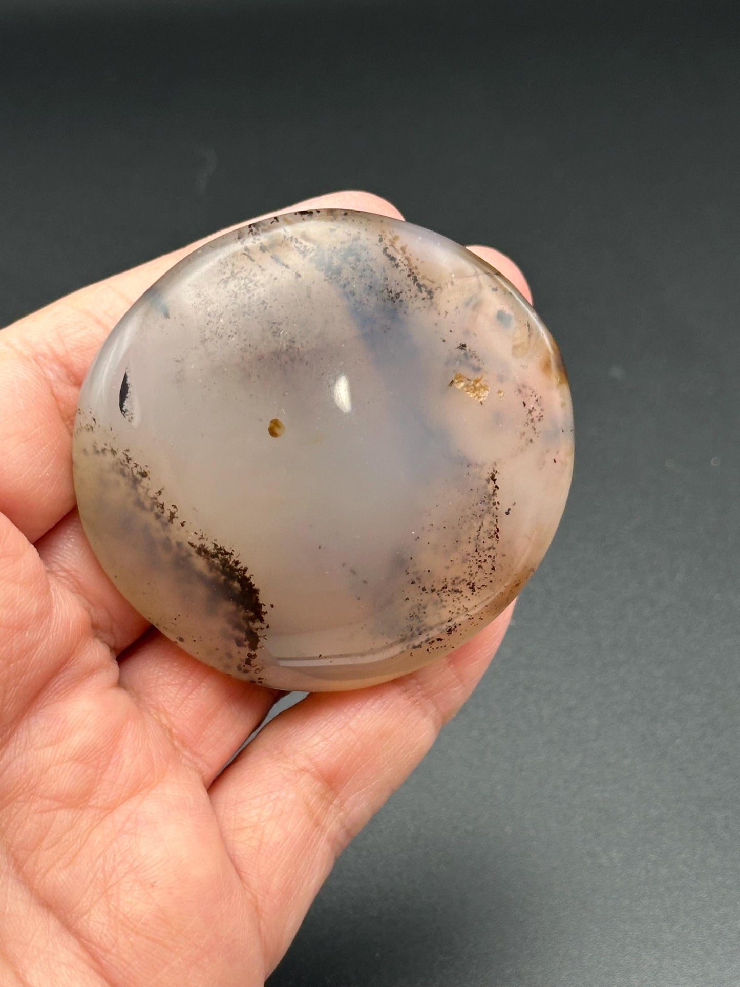 Dendritic Agate Palm Stone