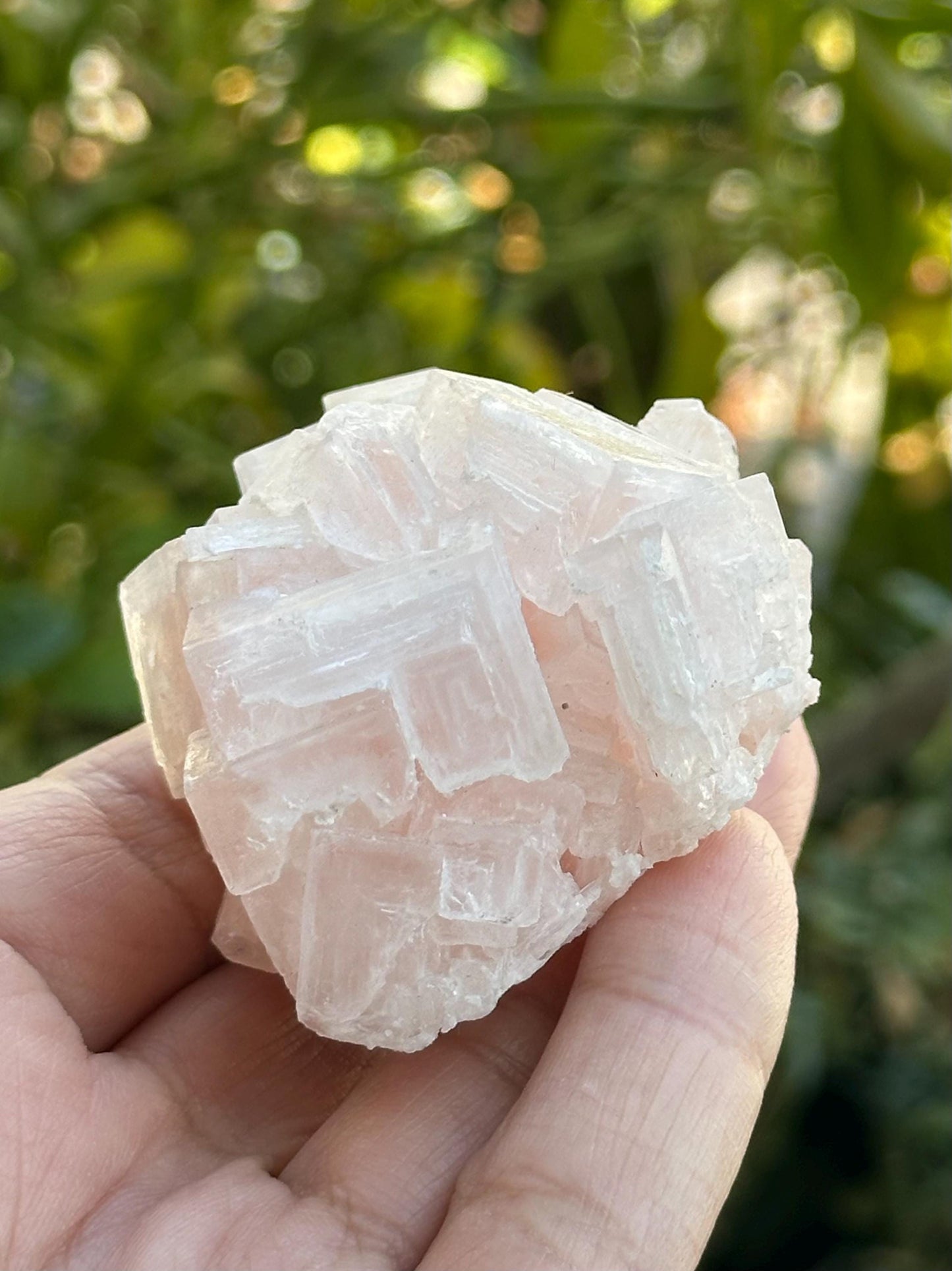 Light Pink Halite from Searles Lake, California