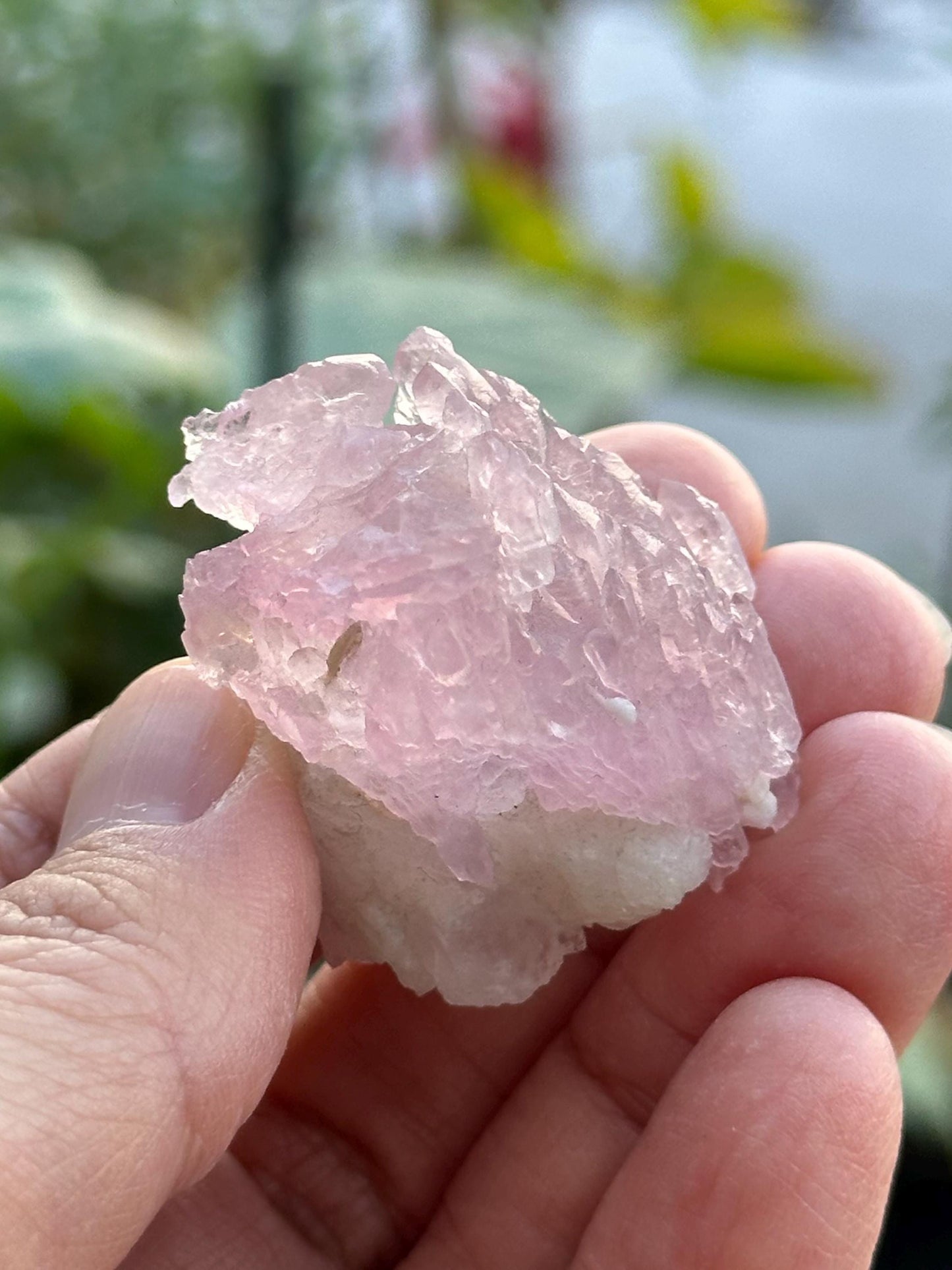 Crystallized Rose Quartz from Brazil
