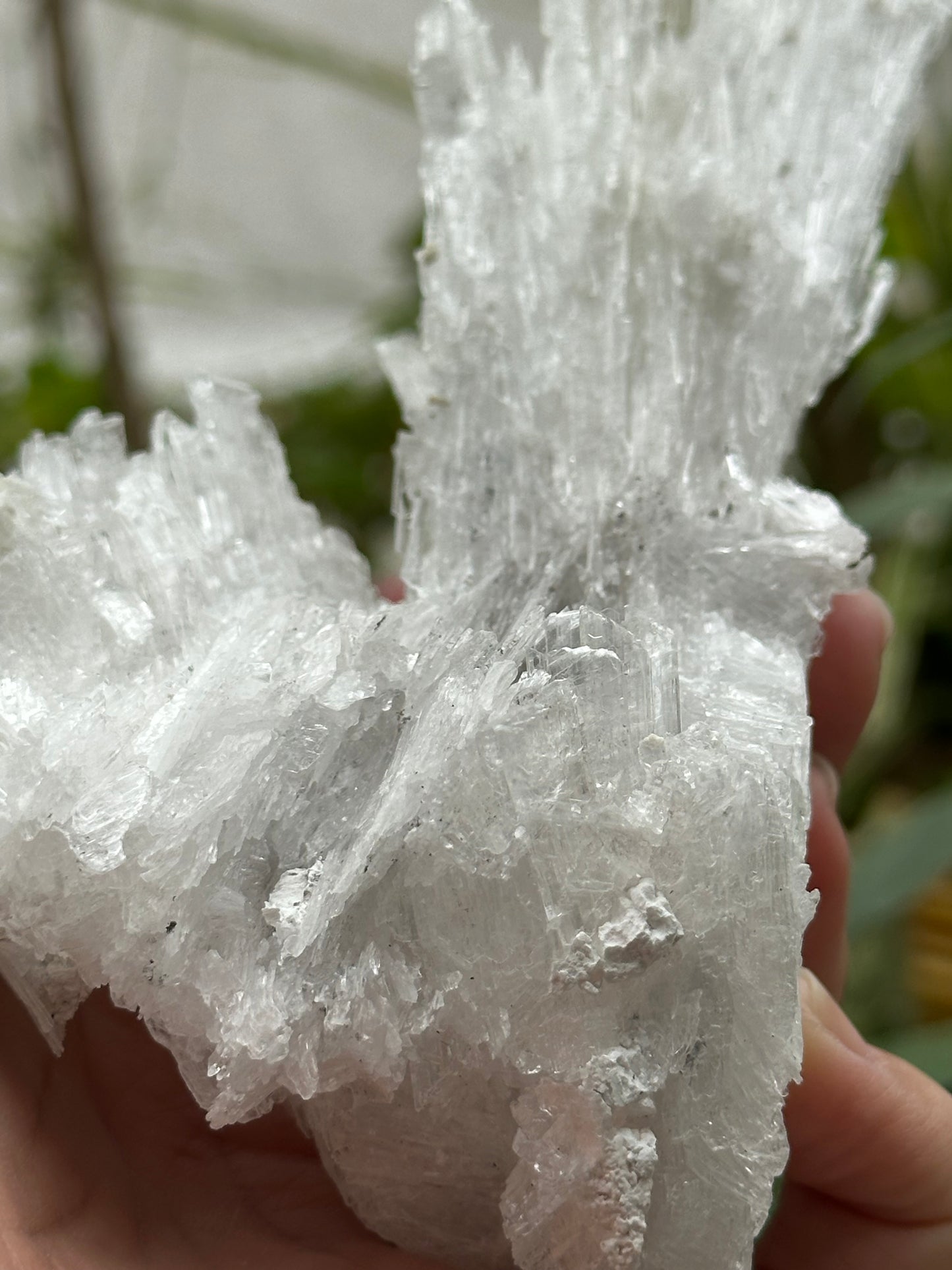 Selenite from Guizhou