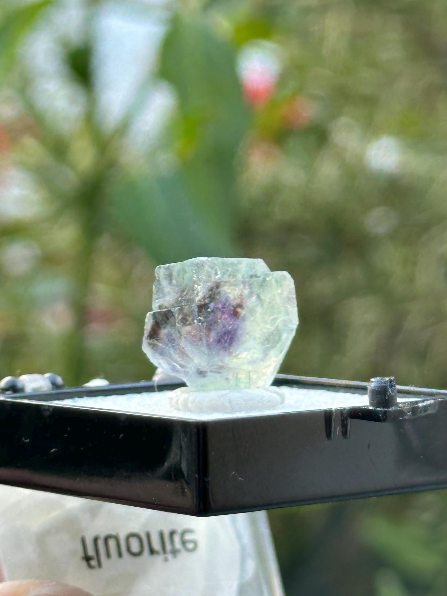 Fluorite from the Yindu Mine