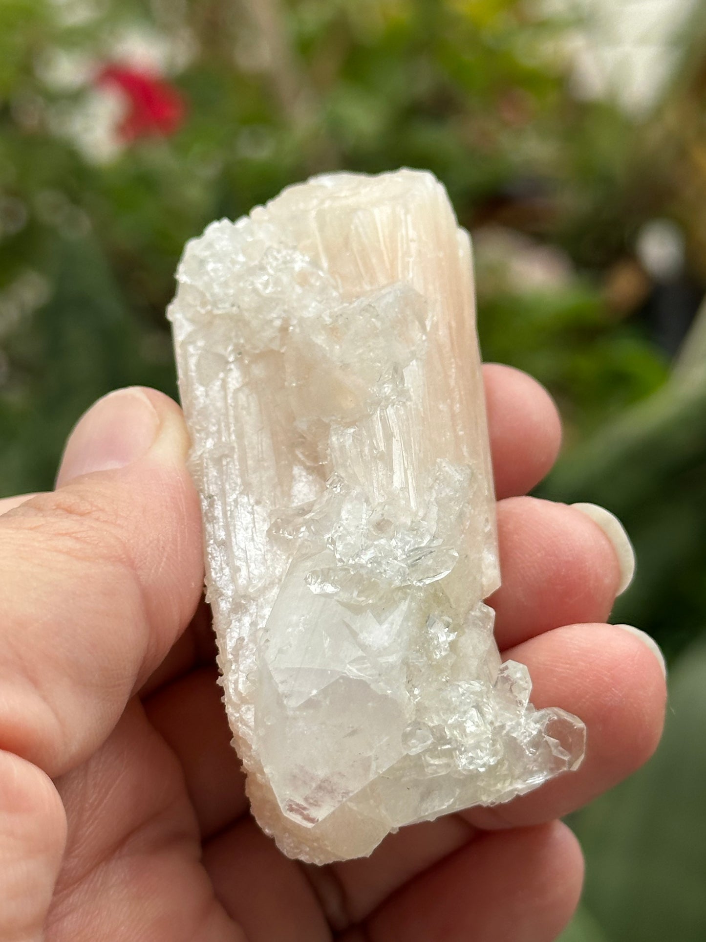 Apophyllite with Stilbite from India