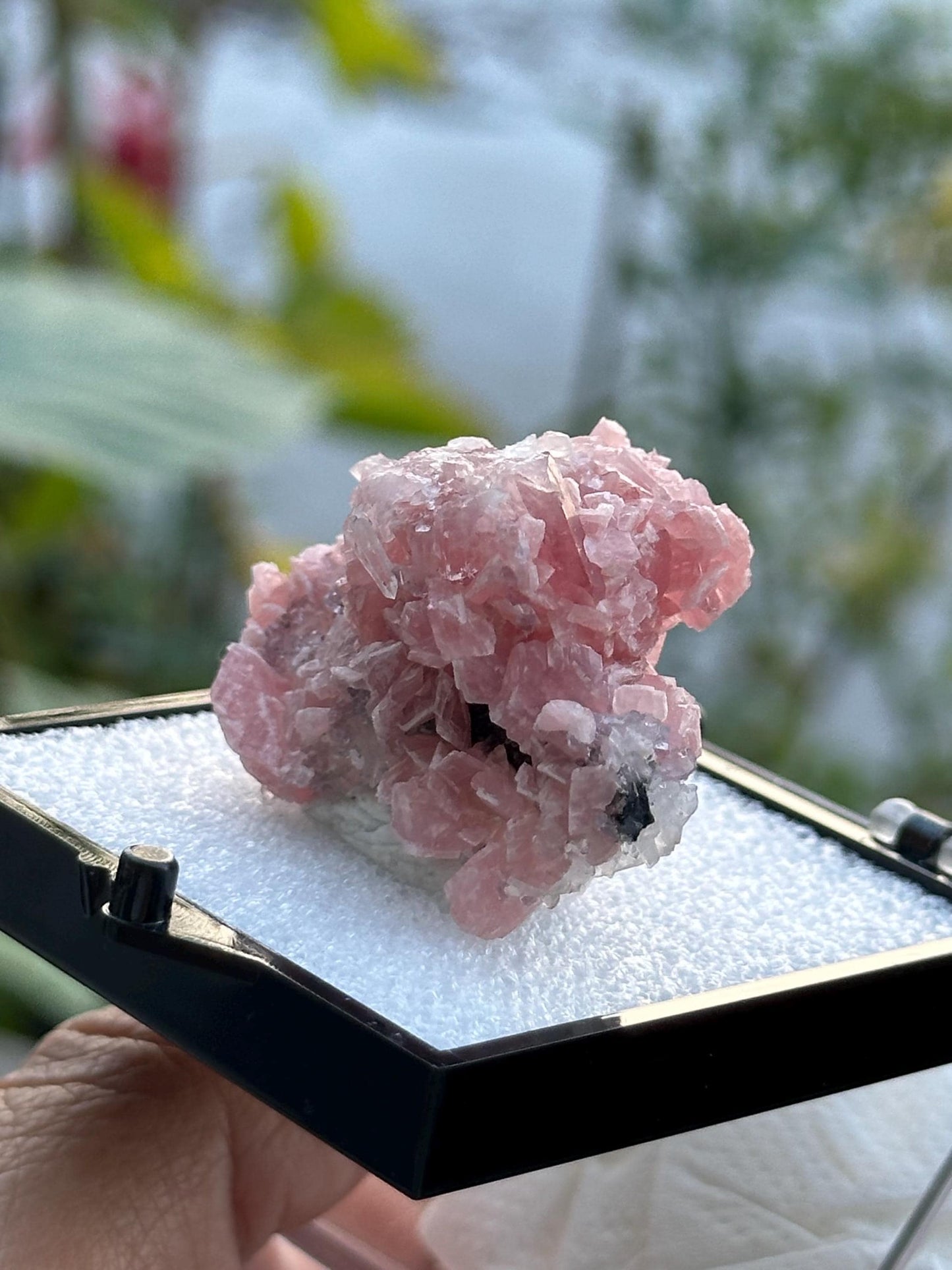 Rhodochrosite with Quartz Specimen