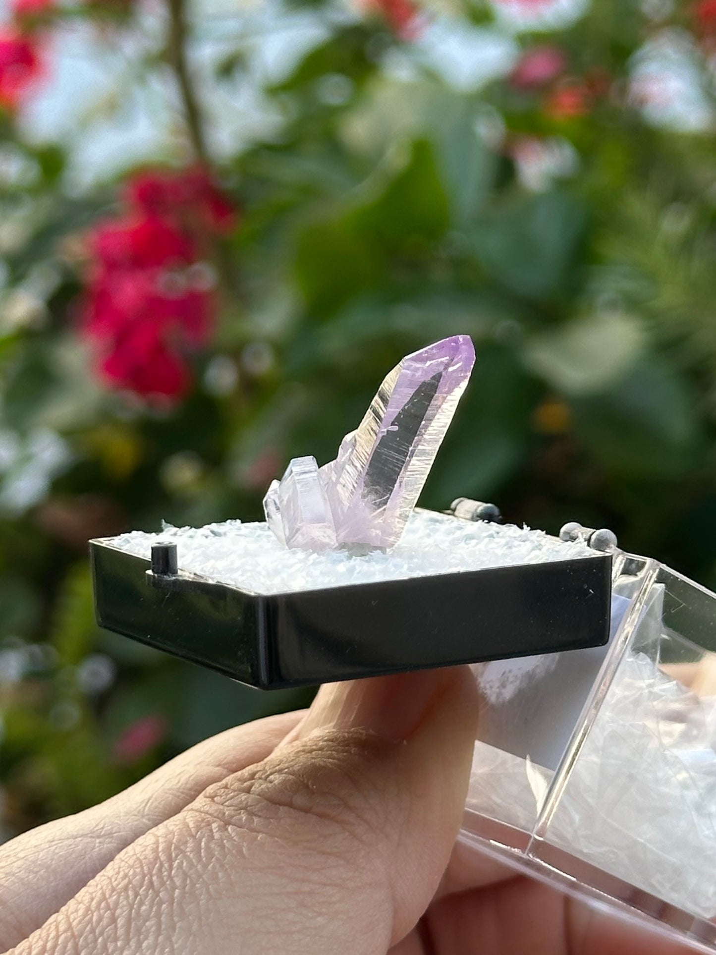 Veracruz Amethyst