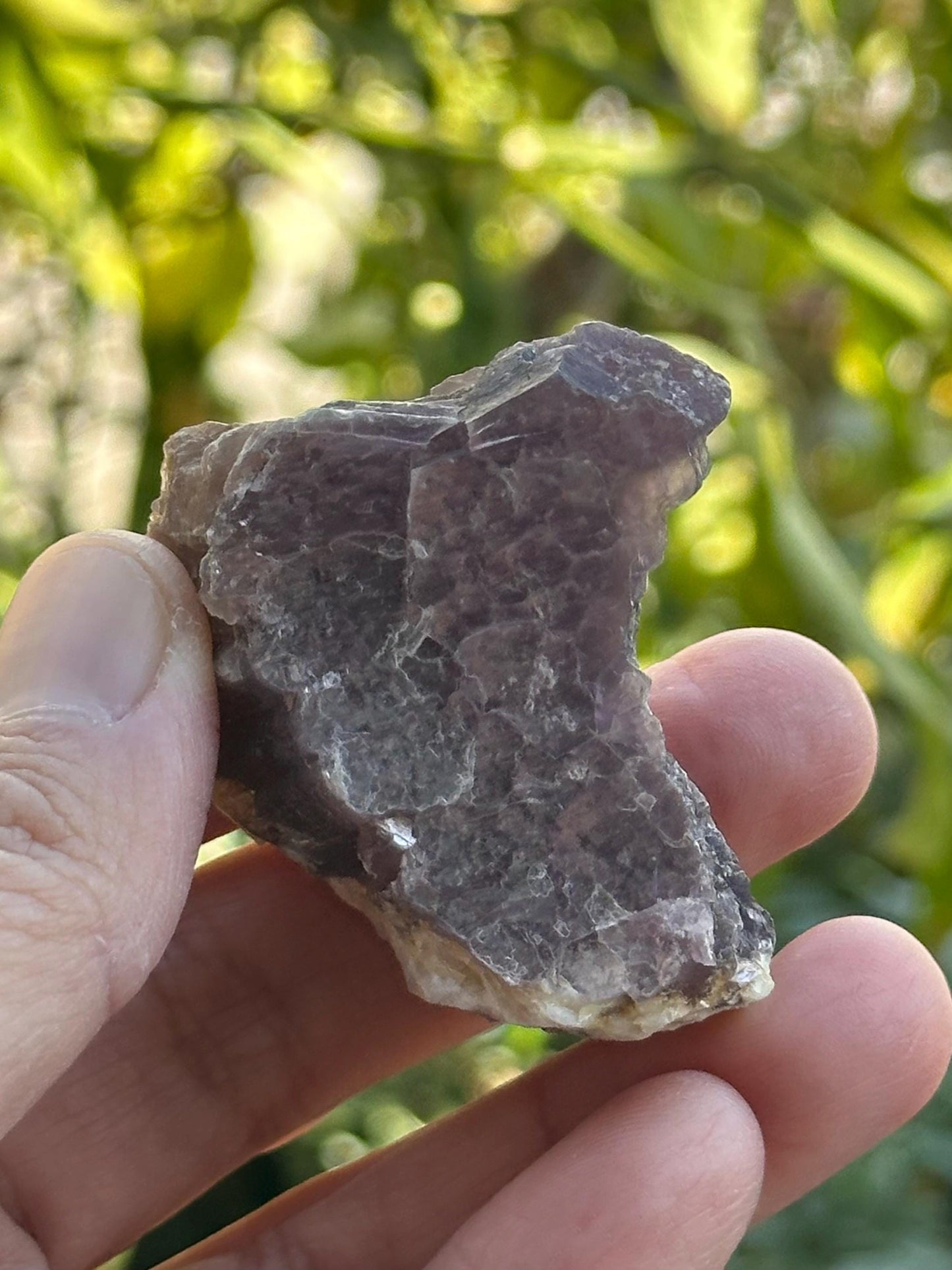 Raw Lepidolite