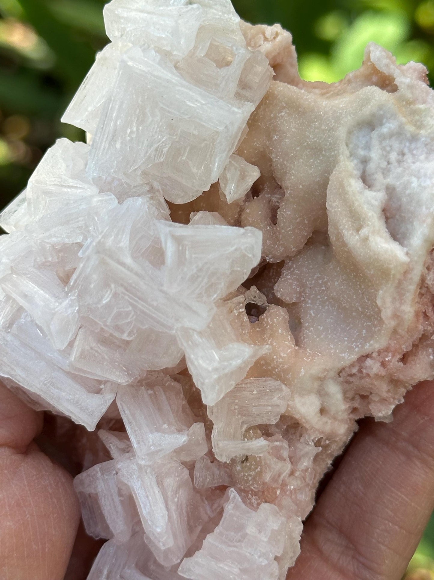 Light Pink Halite on Trona