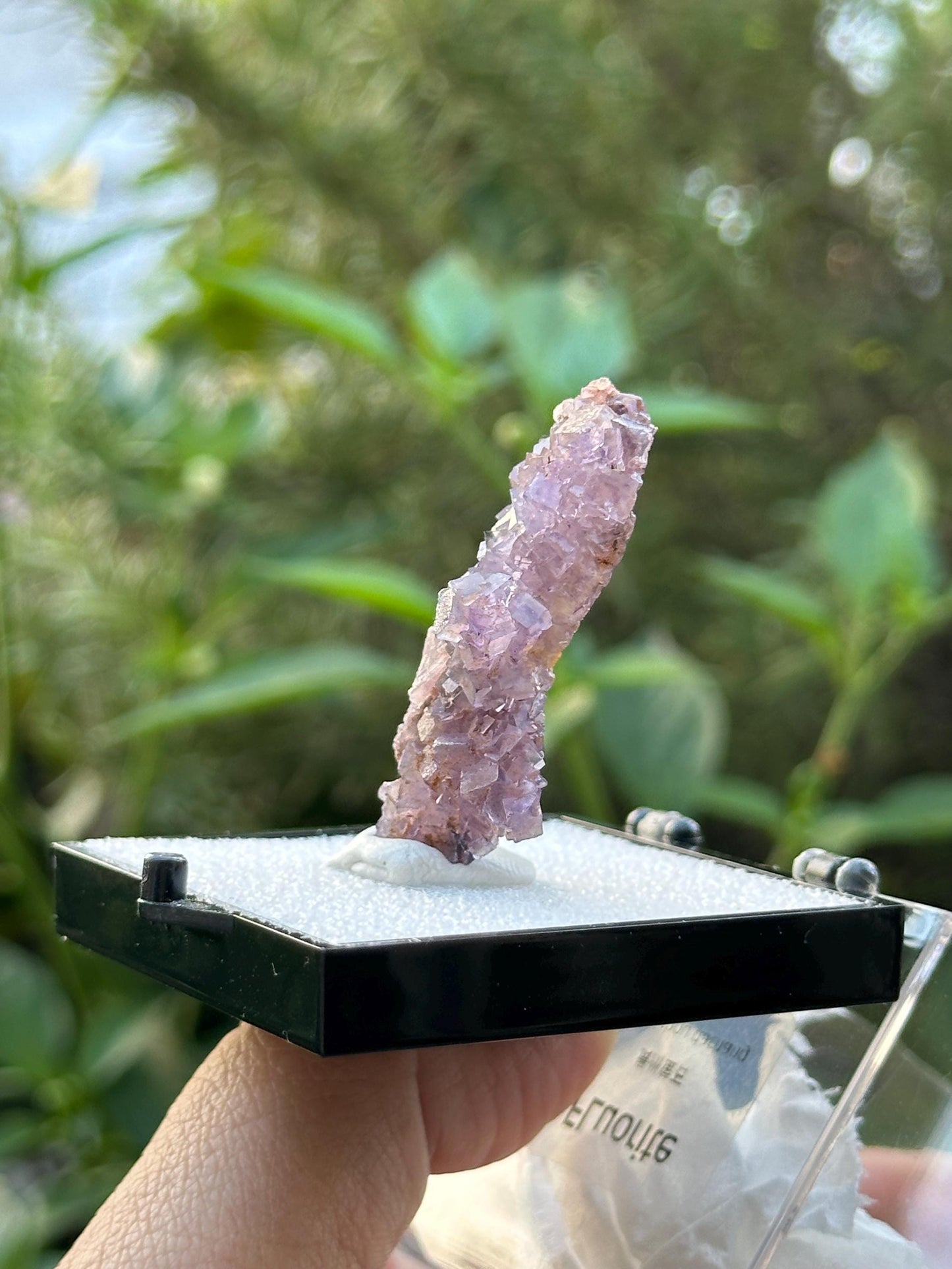 QR Code Fluorite in a perky box from the Quinlong Mine