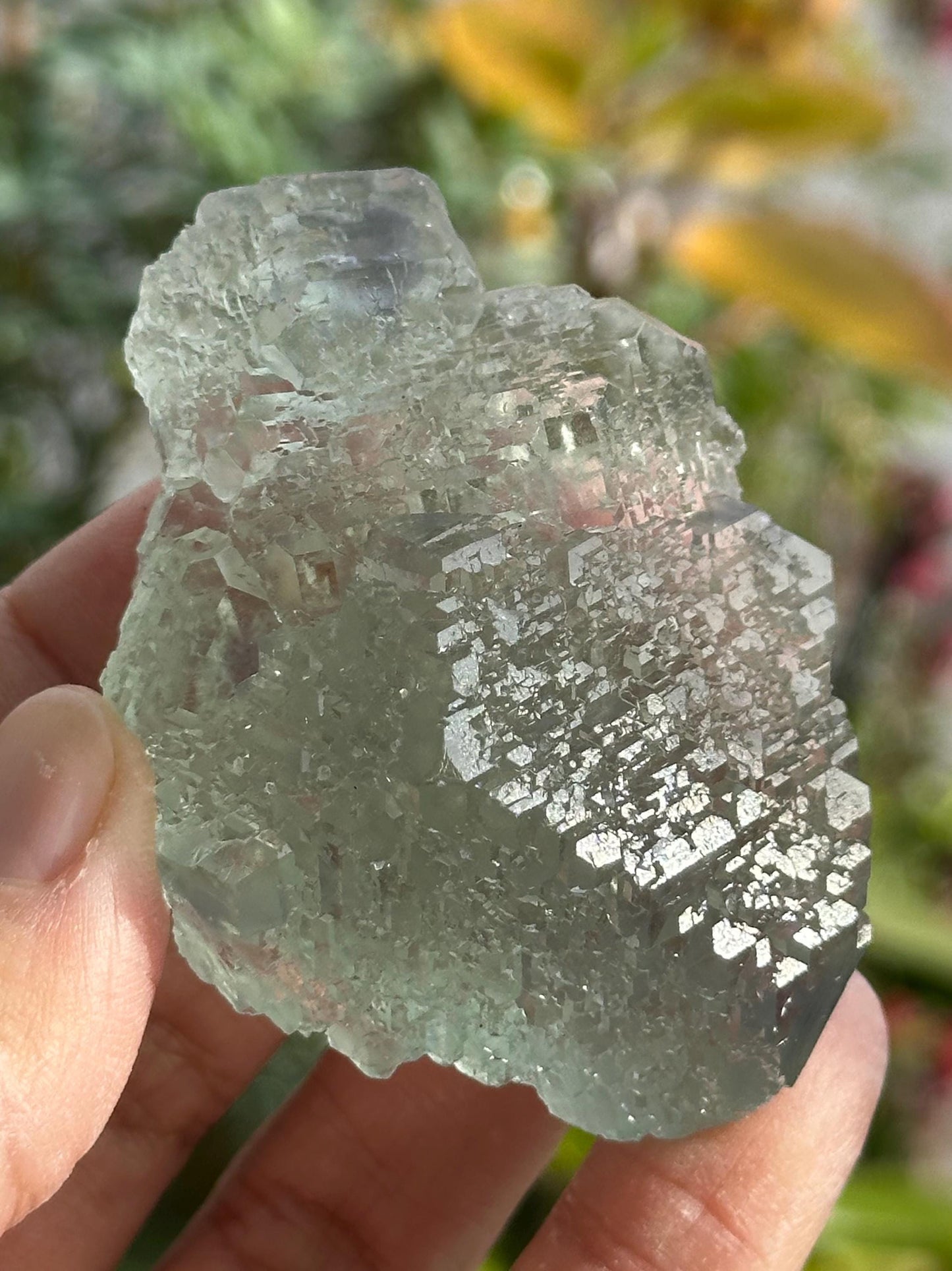 Fluorite from the Manaoshan Mine in China