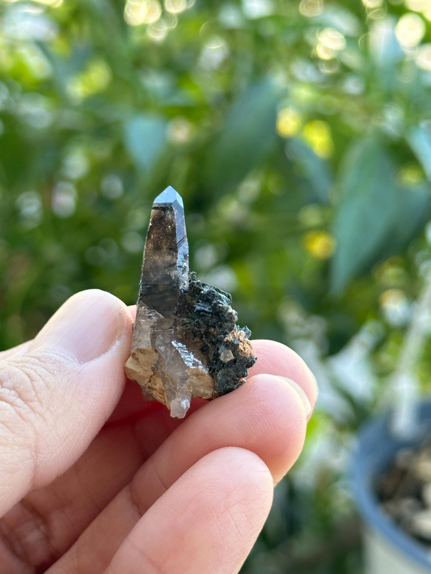 Smoky Quartz with Aegirine from Malawi