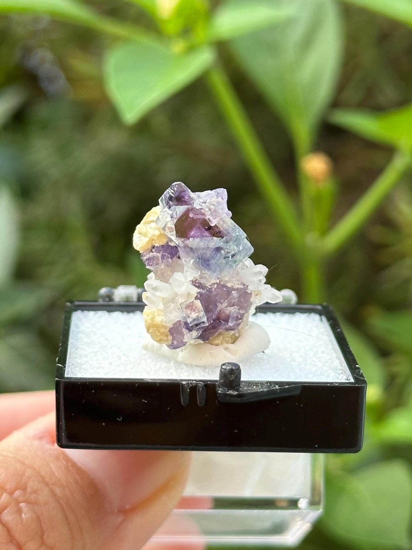 Fluorite with Quartz from the Yindu Mine, Inner Mongolia, China