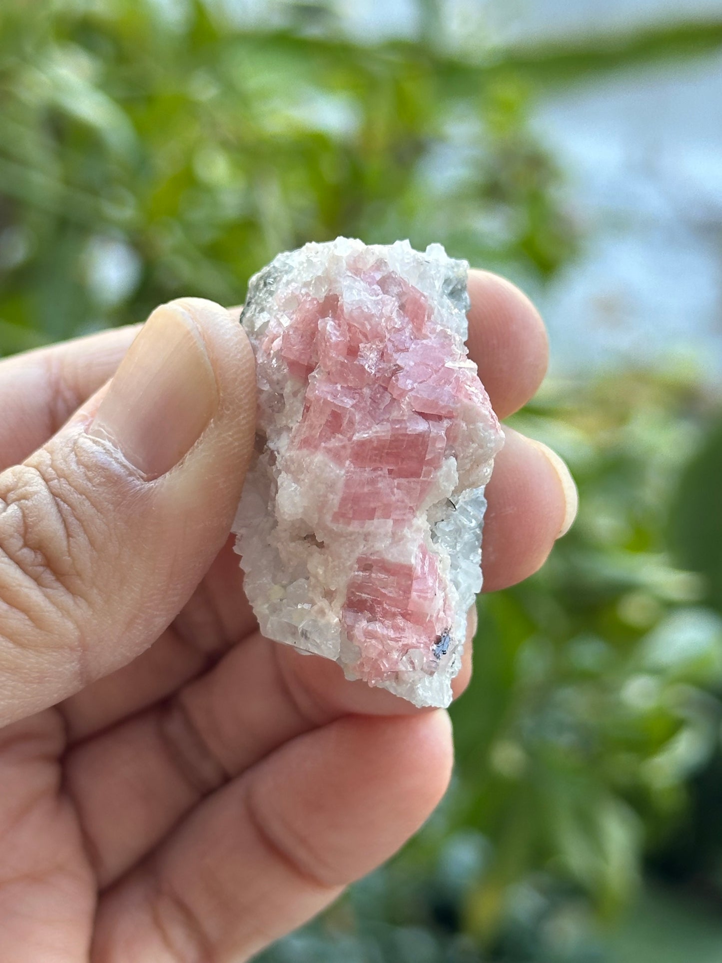 Rhodochrosite with Quartz on Matrix