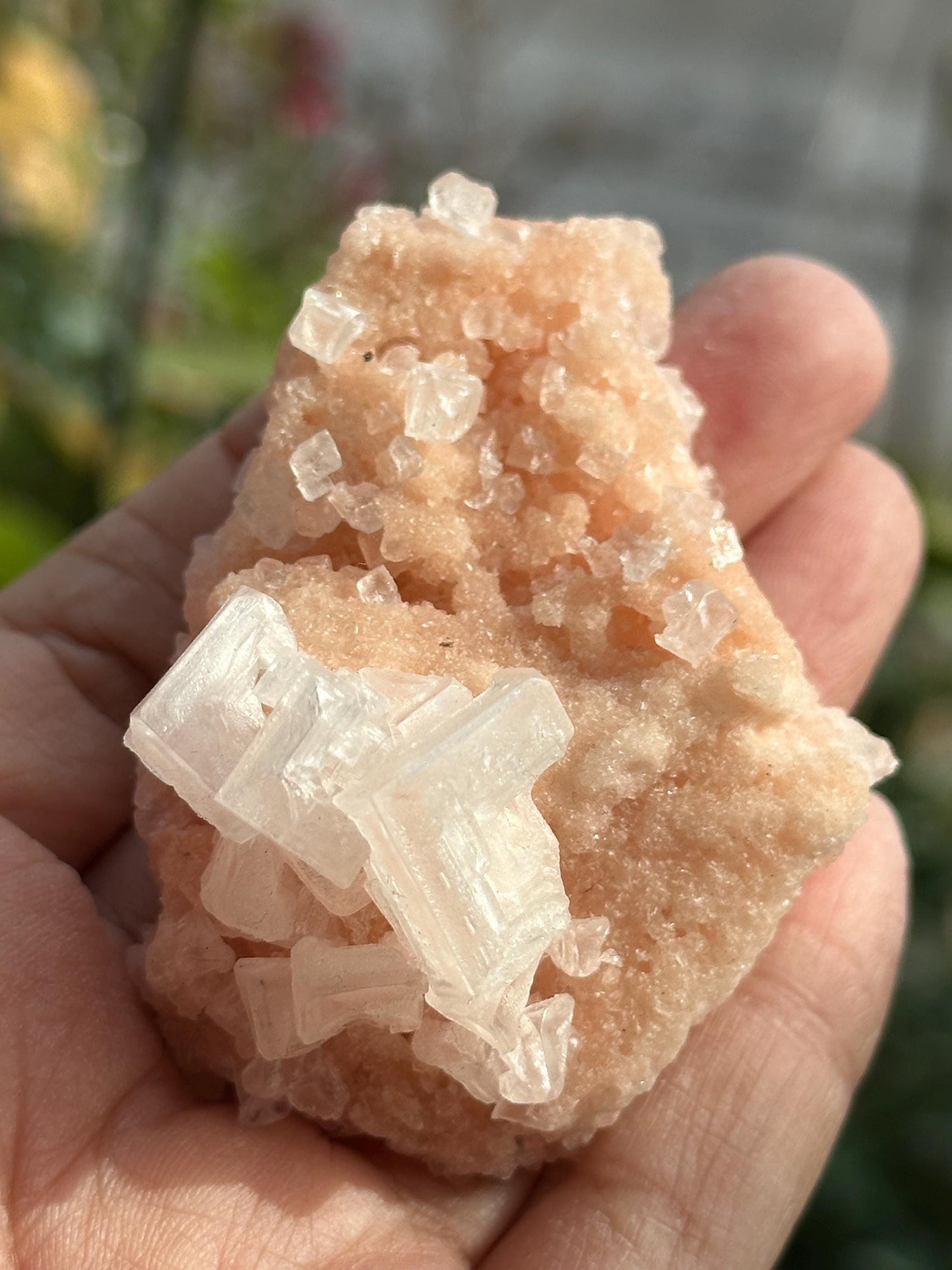 Light Pink Halite on Trona
