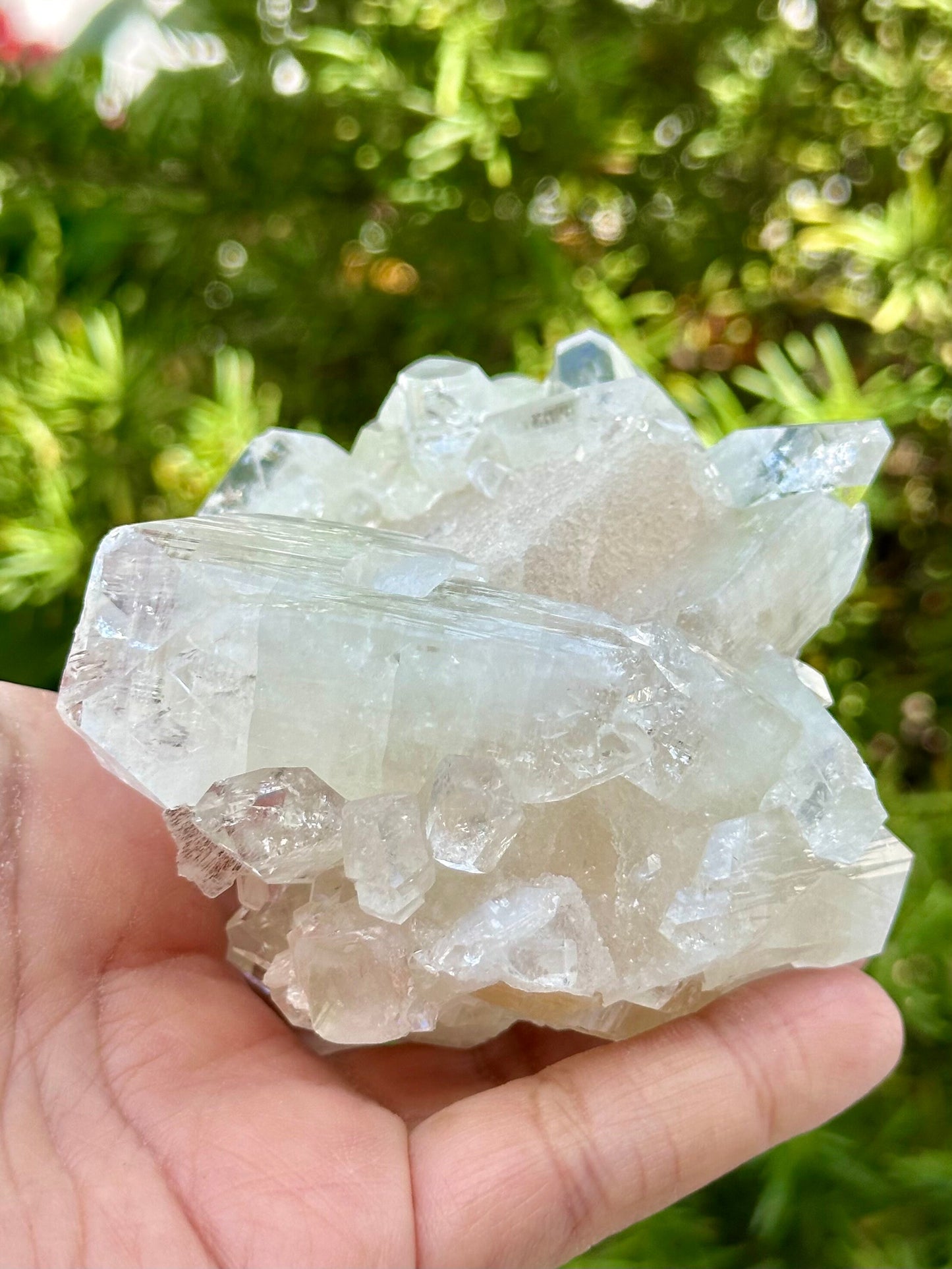 Apophyllite Specimen