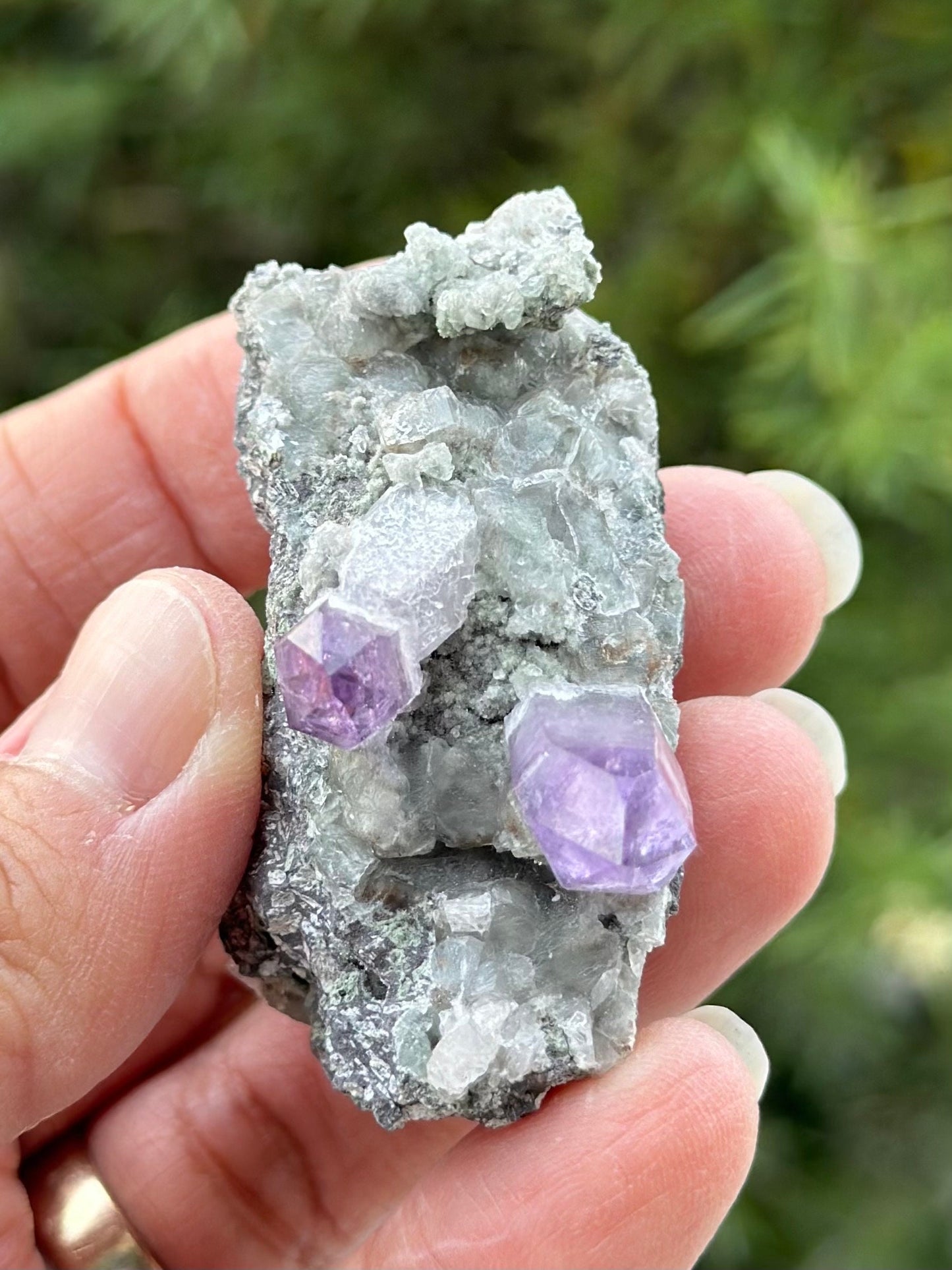 Veracruz Amethyst on Matrix
