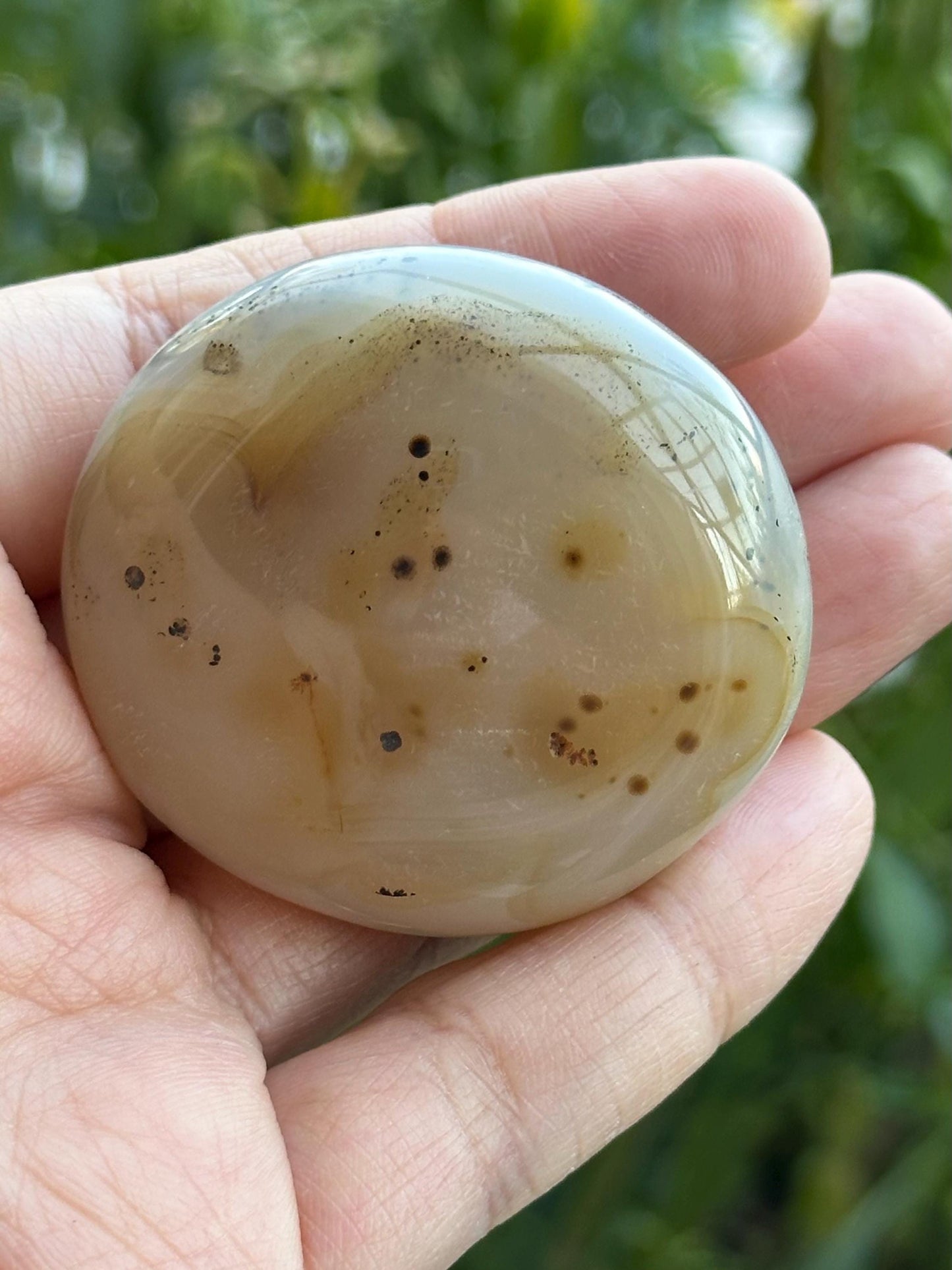 Dendritic Agate Palm Stone