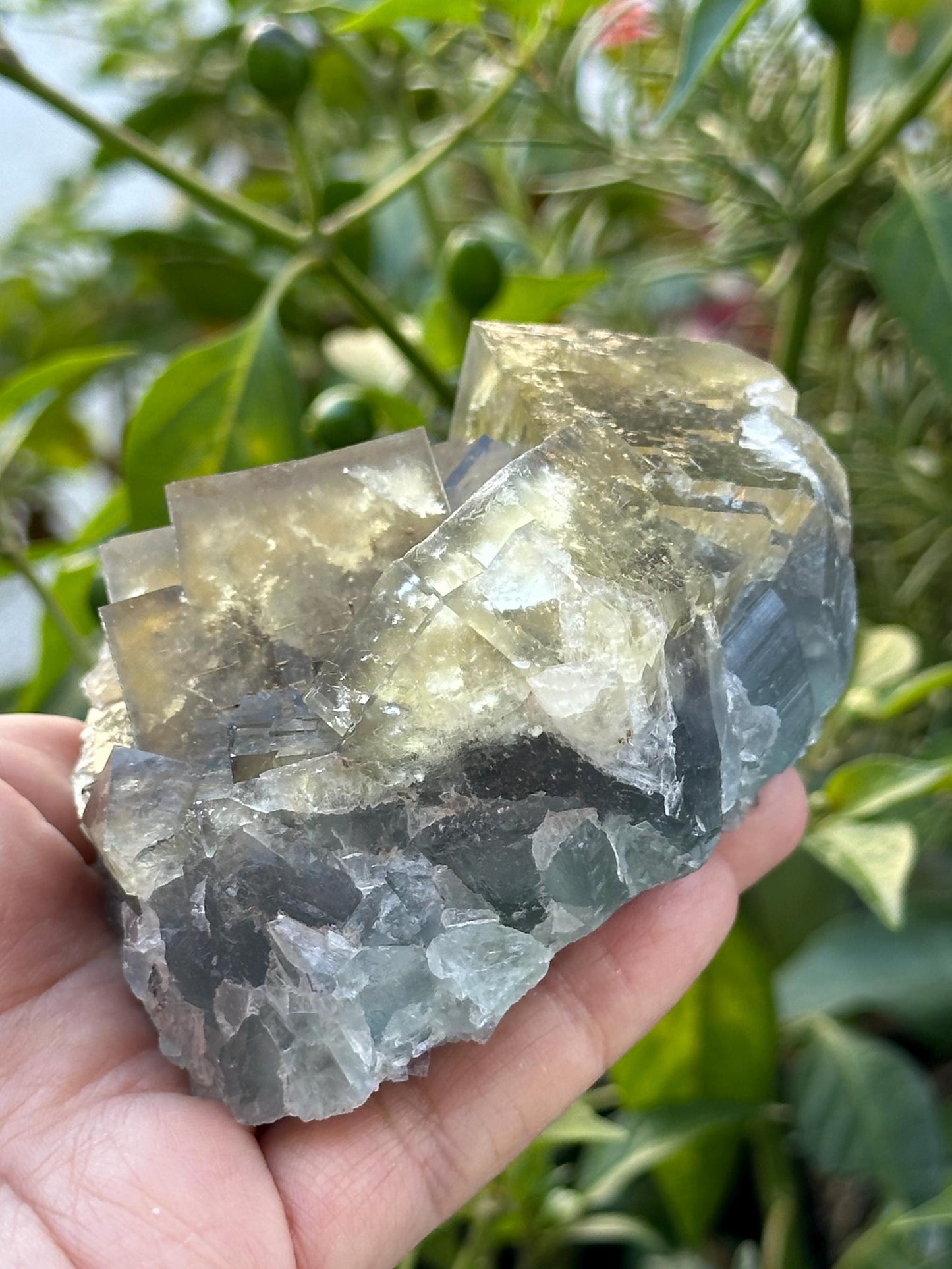 Yellow and Blue Fluorite from Beijing