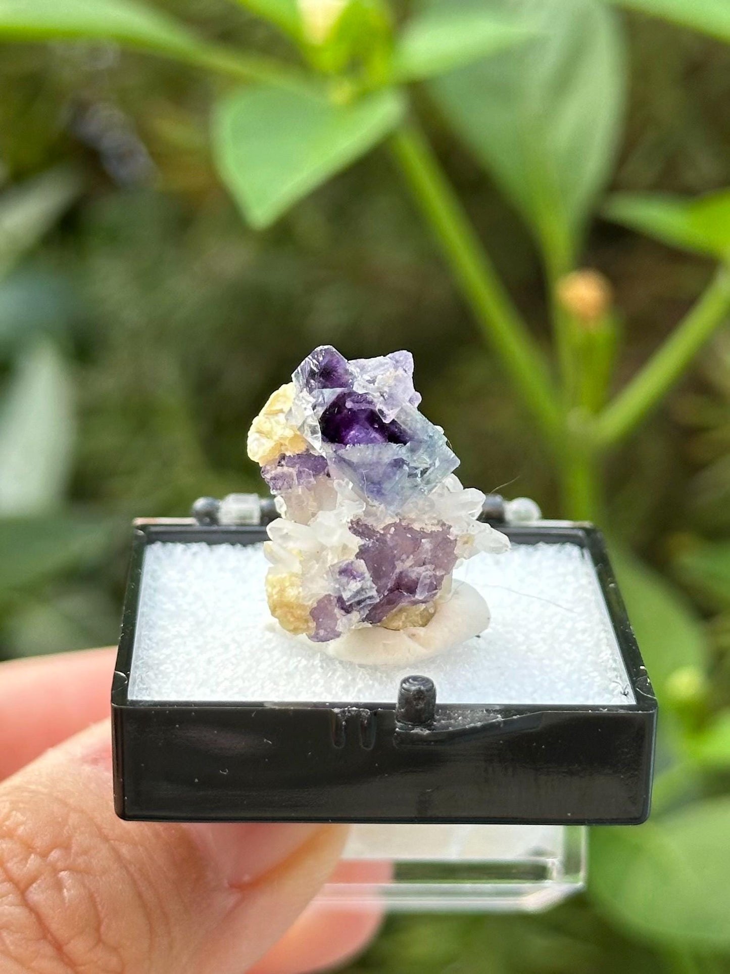 Fluorite with Quartz from the Yindu Mine, Inner Mongolia, China