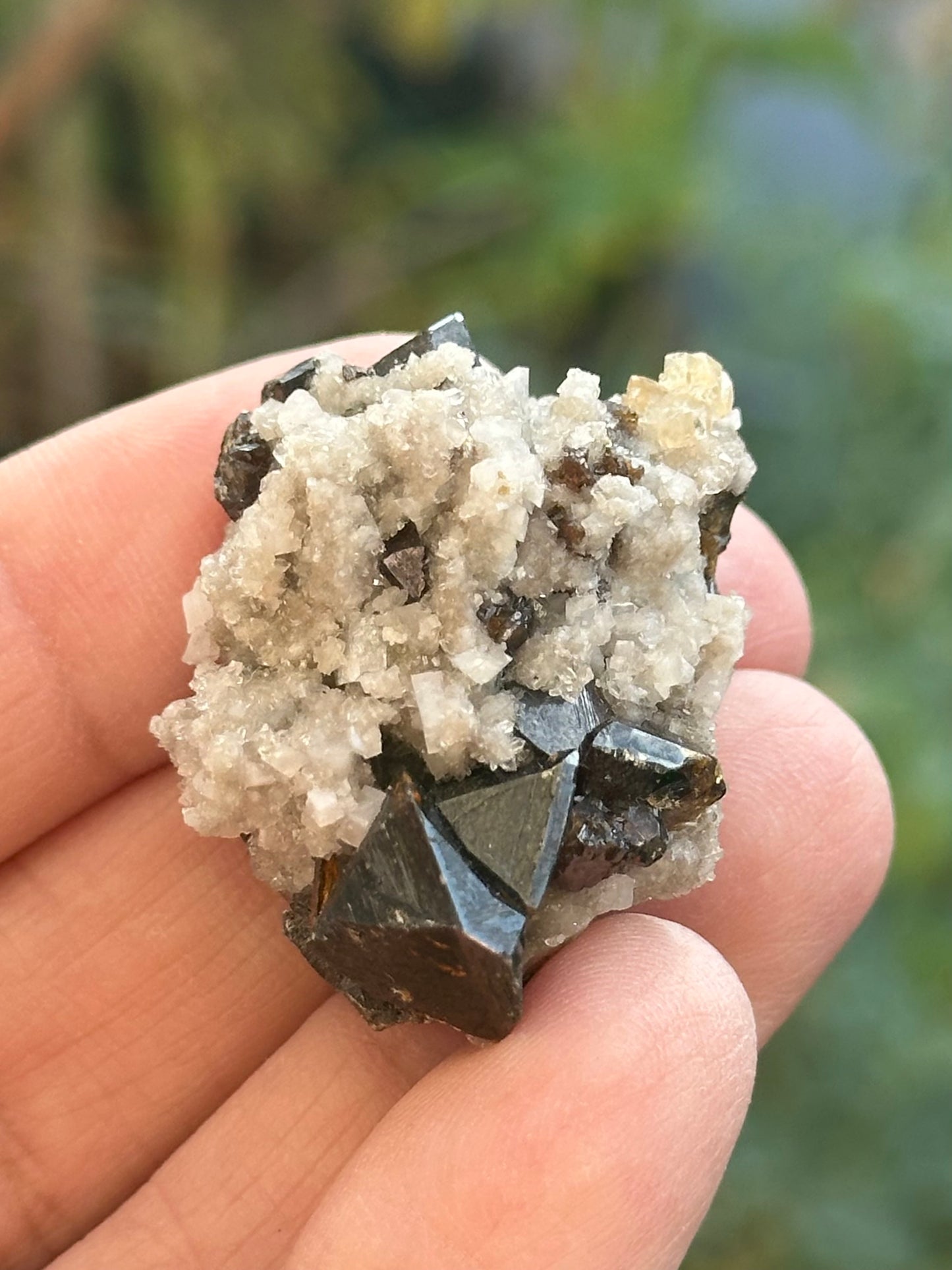 Dolomite and Sphalerite from the Elmwood Mine in Carthage, Tennessee