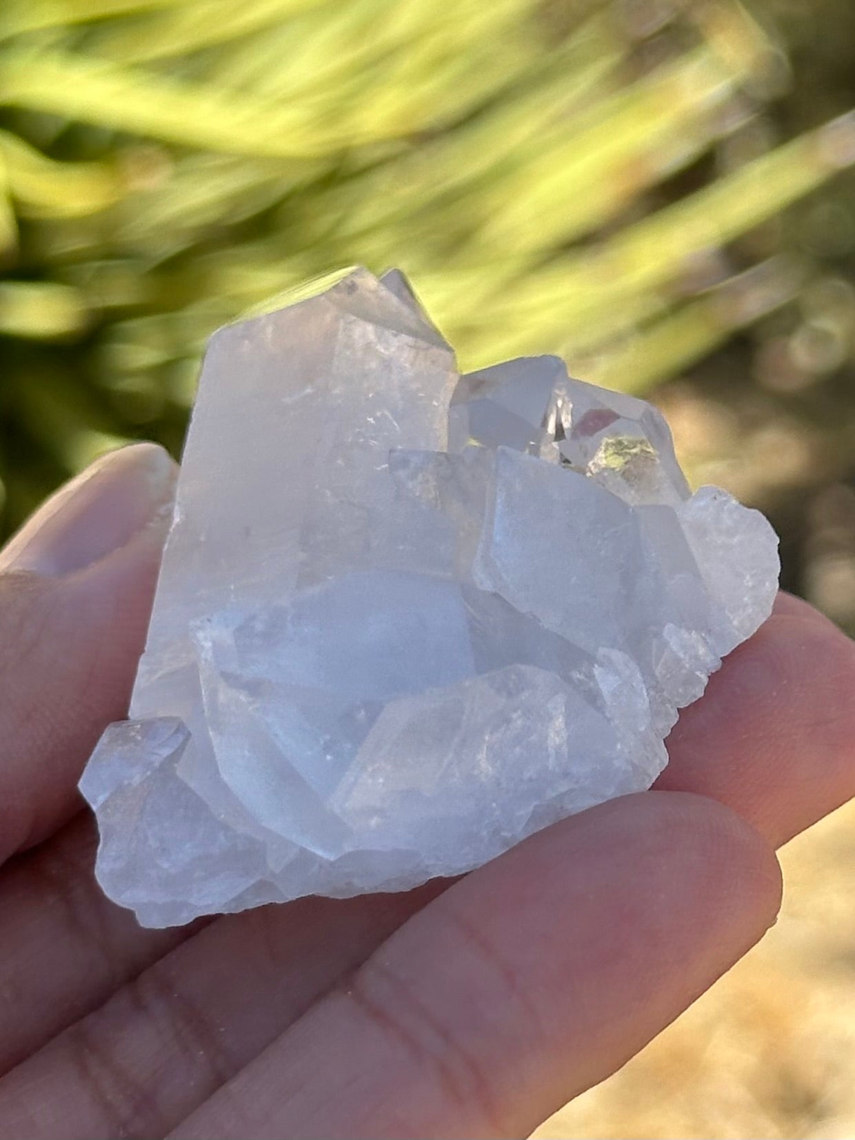 Small Clear Quartz Cluster