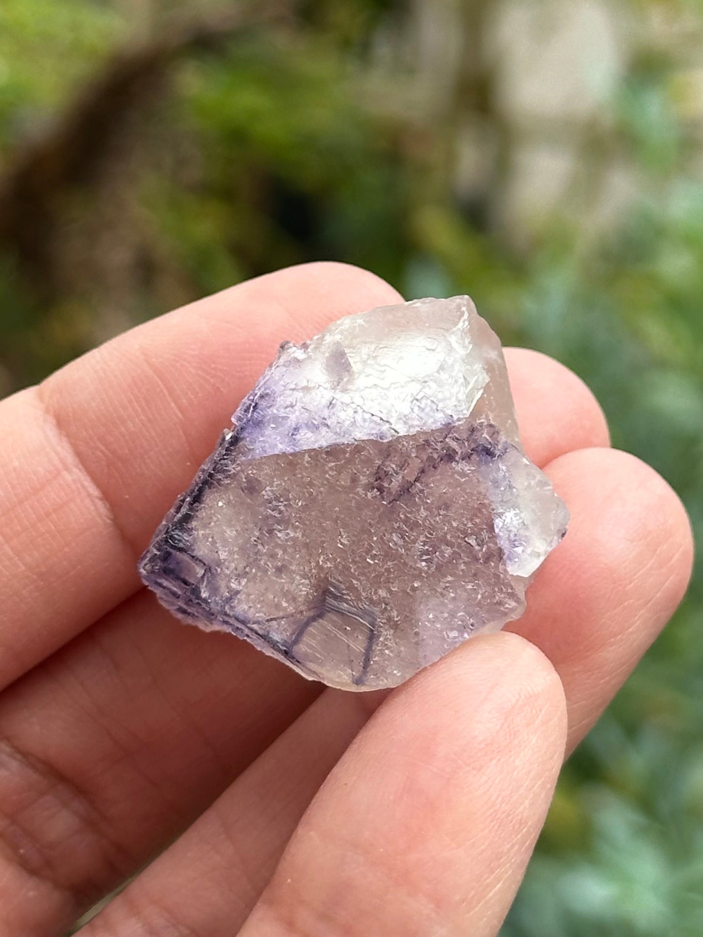 Fluorite from the Elmwood Mine