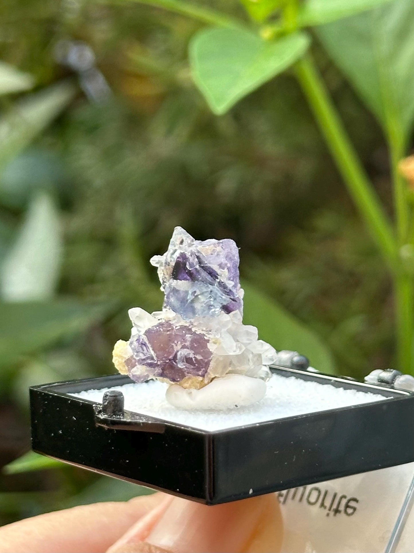 Fluorite with Quartz from the Yindu Mine, Inner Mongolia, China