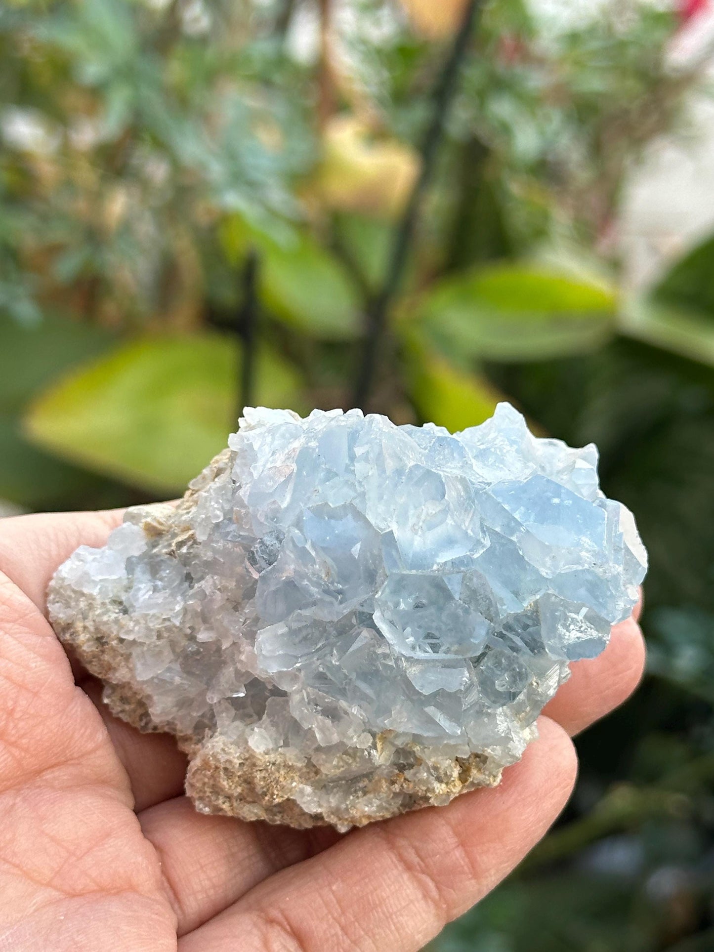 Celestite Cluster
