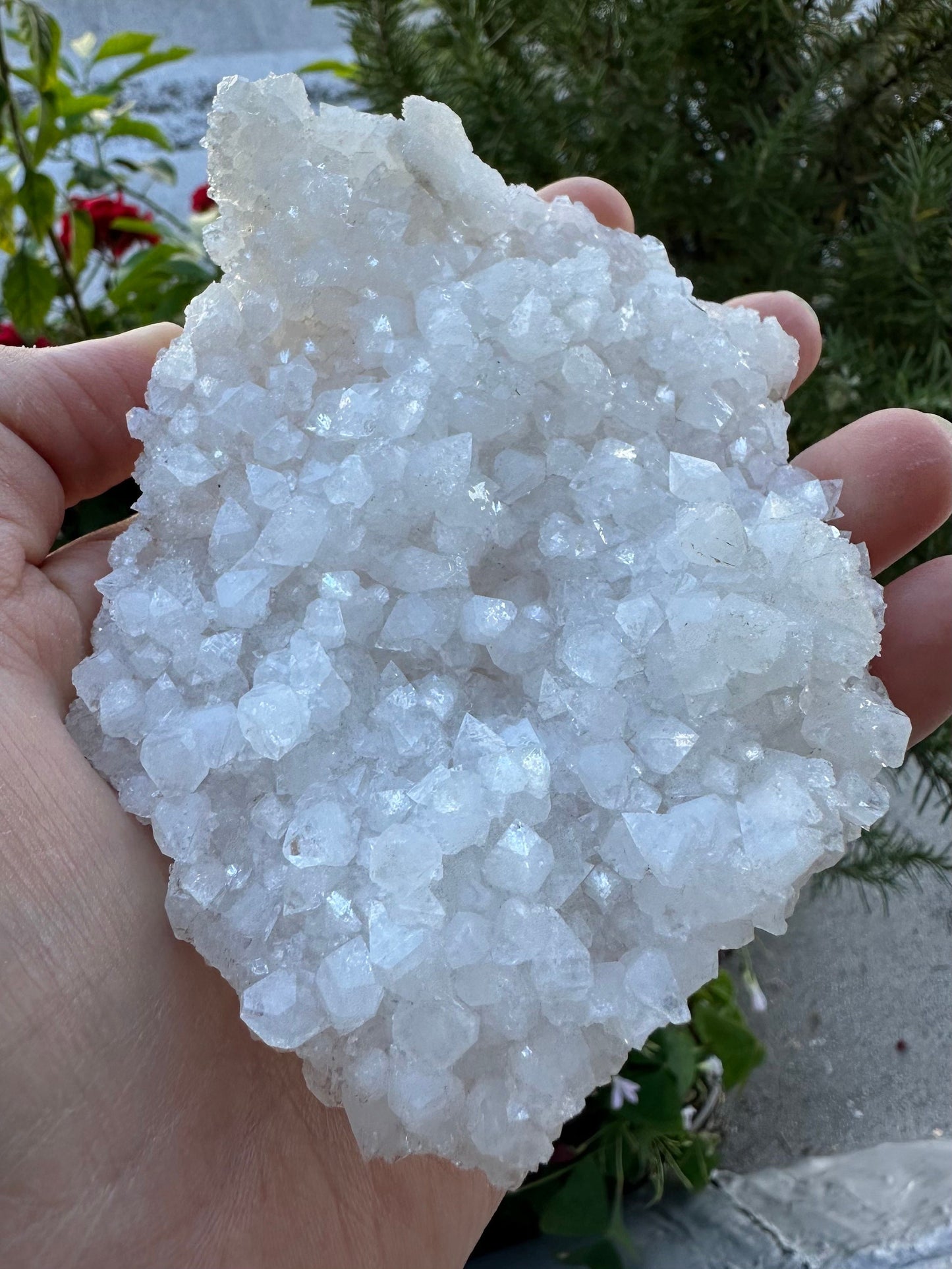 Apophyllite from India
