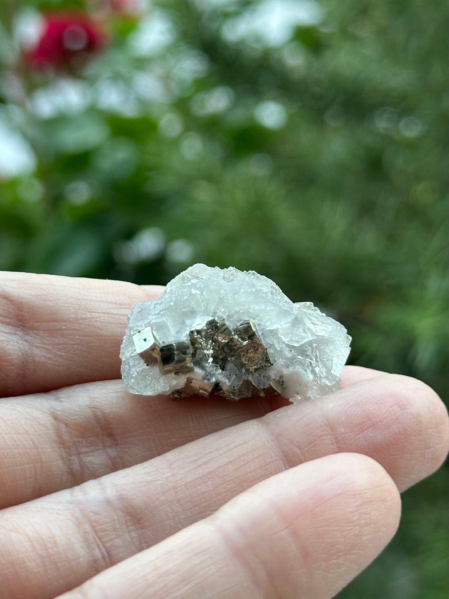 Fluorite and Pyrite Specimen from the Huanzala Mine, Peru - UV Reactive