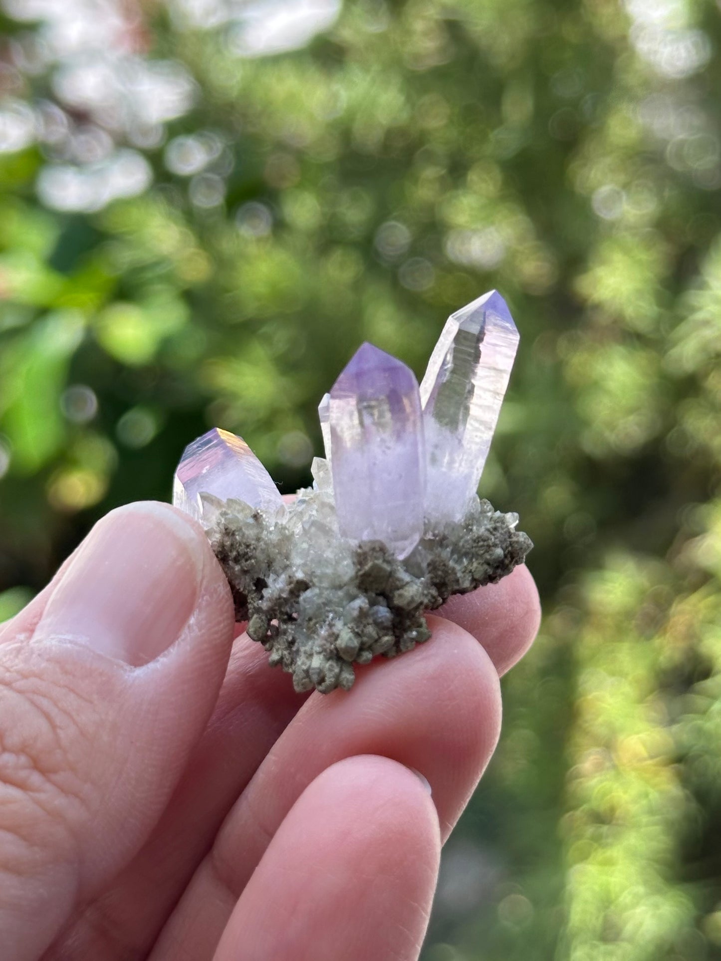 Veracruz Amethyst Cluster on Matrix