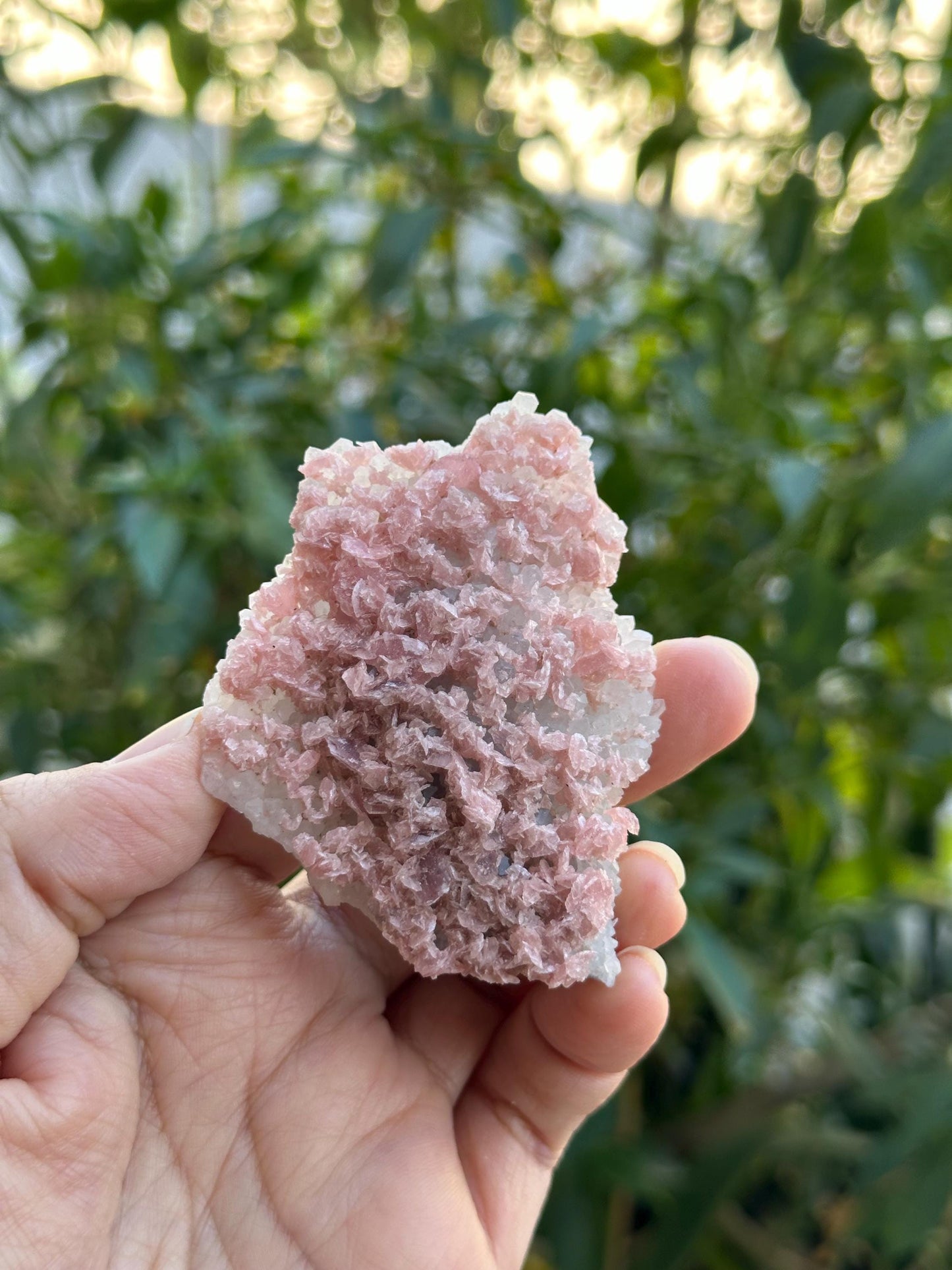 Rhodochrosite with Quartz from the Wutong Mine