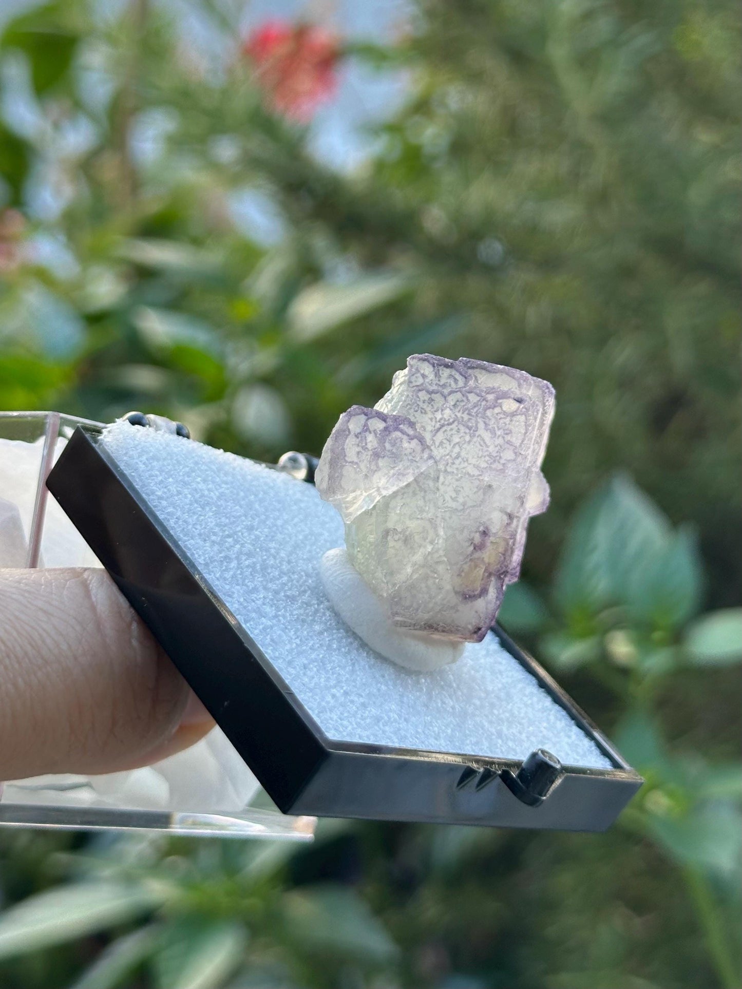 QR Code Fluorite Specimen in a perky box from Quinlong Mine, Guizhou, China