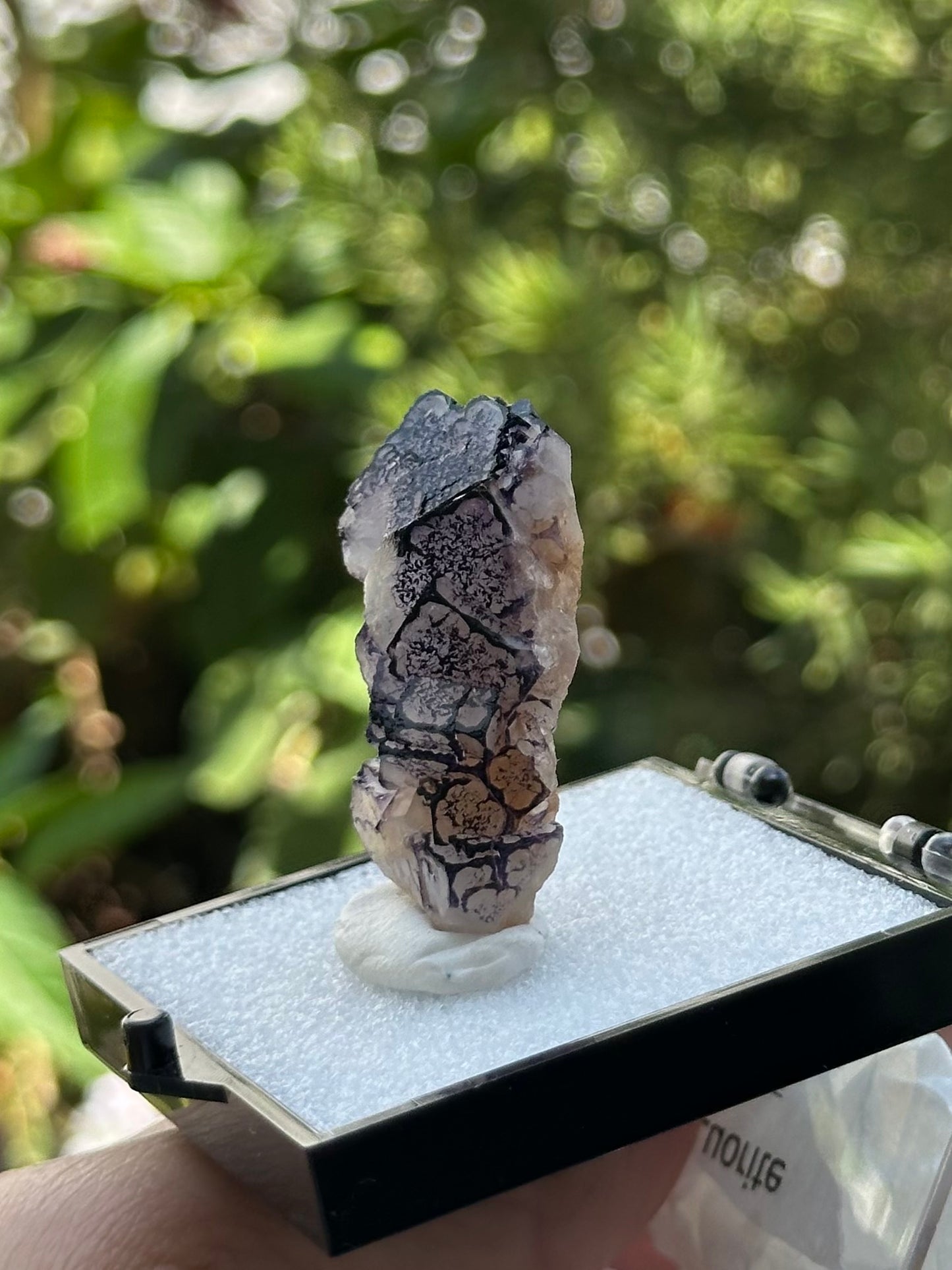 QR Code Fluorite