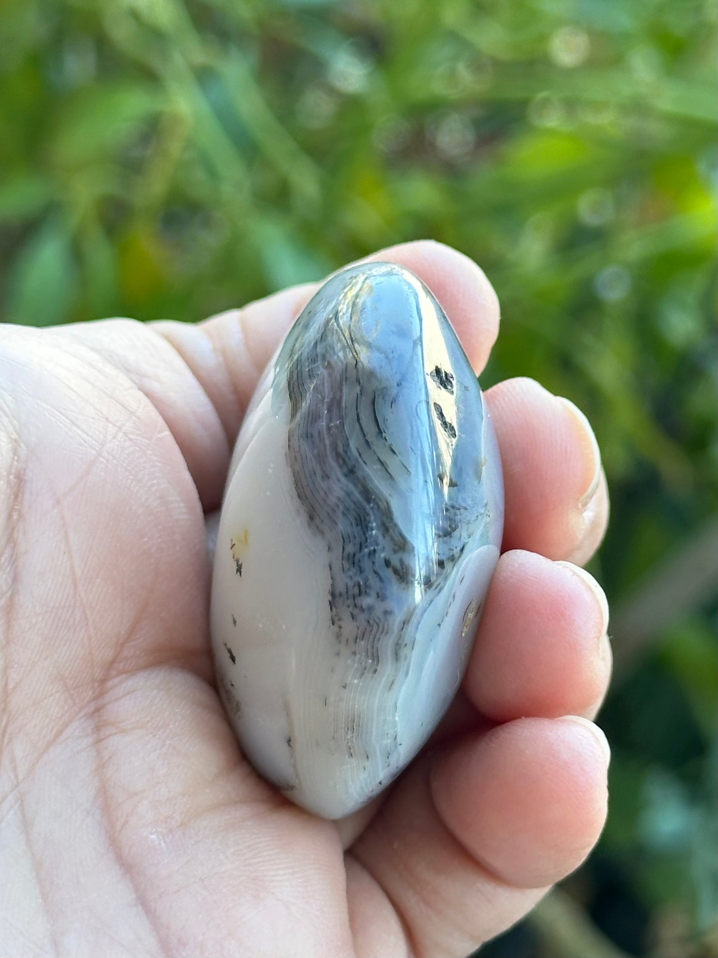 Dendritic Agate Palm Stone