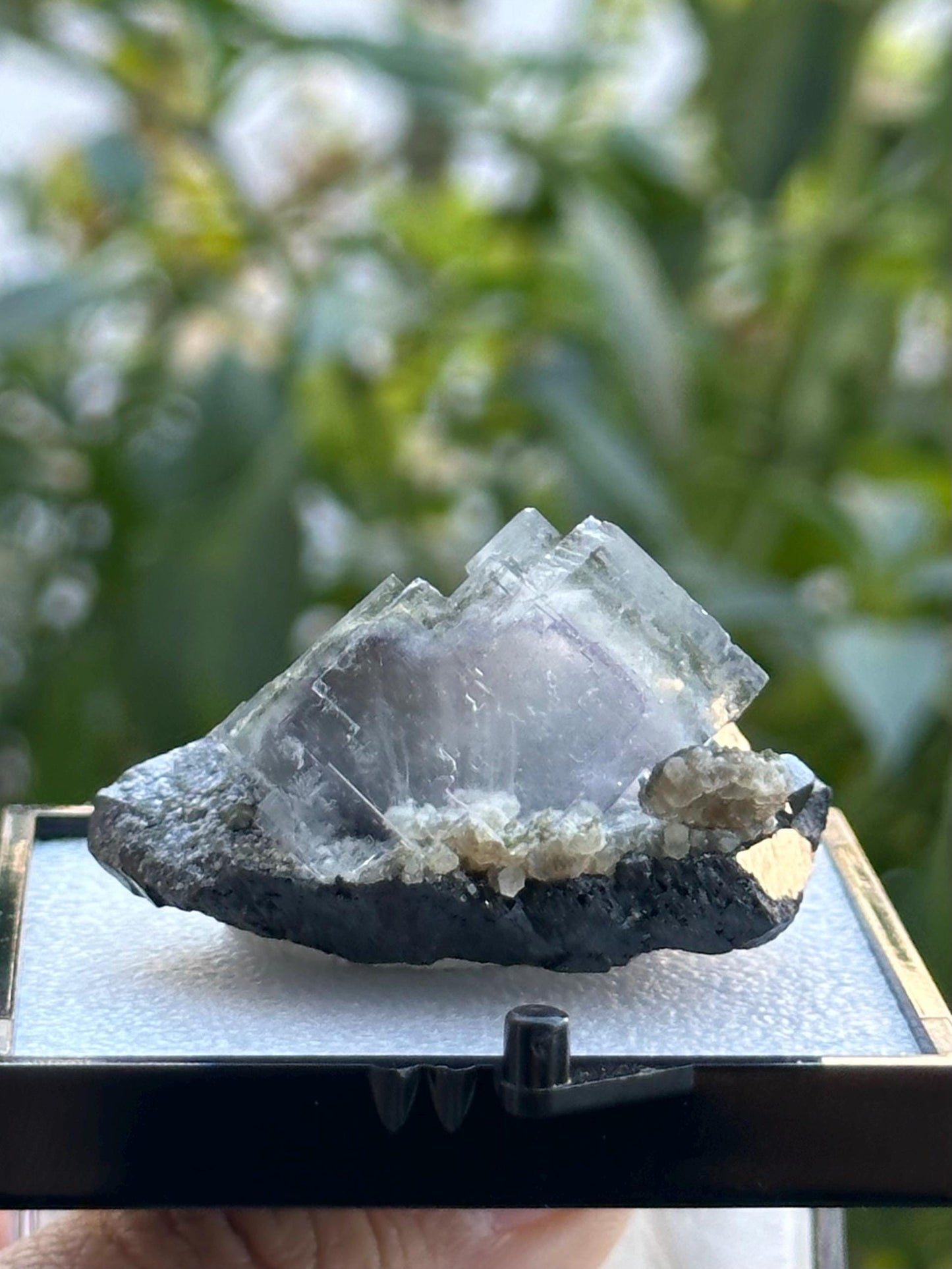 Wolframite Fluorite from the Yaogangxian Mine