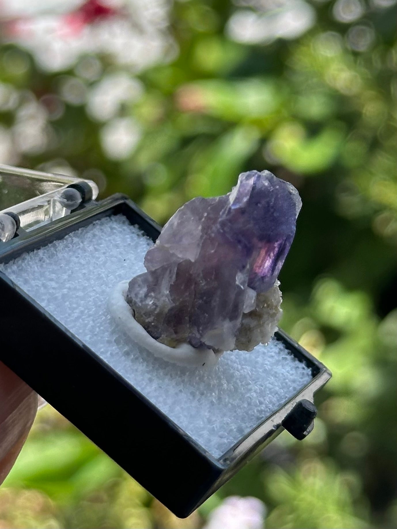 Yindu Fluorite in a perky box from Inner Mongolia, China