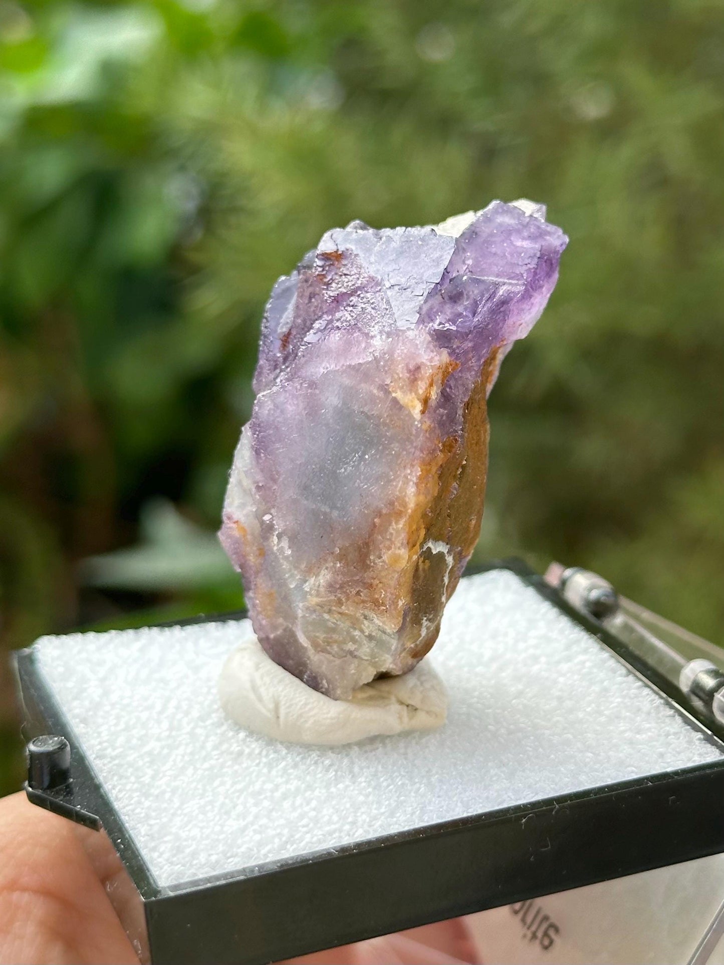 Fluorite Specimen in a perky box from Quinlong Mine, Guizhou, China