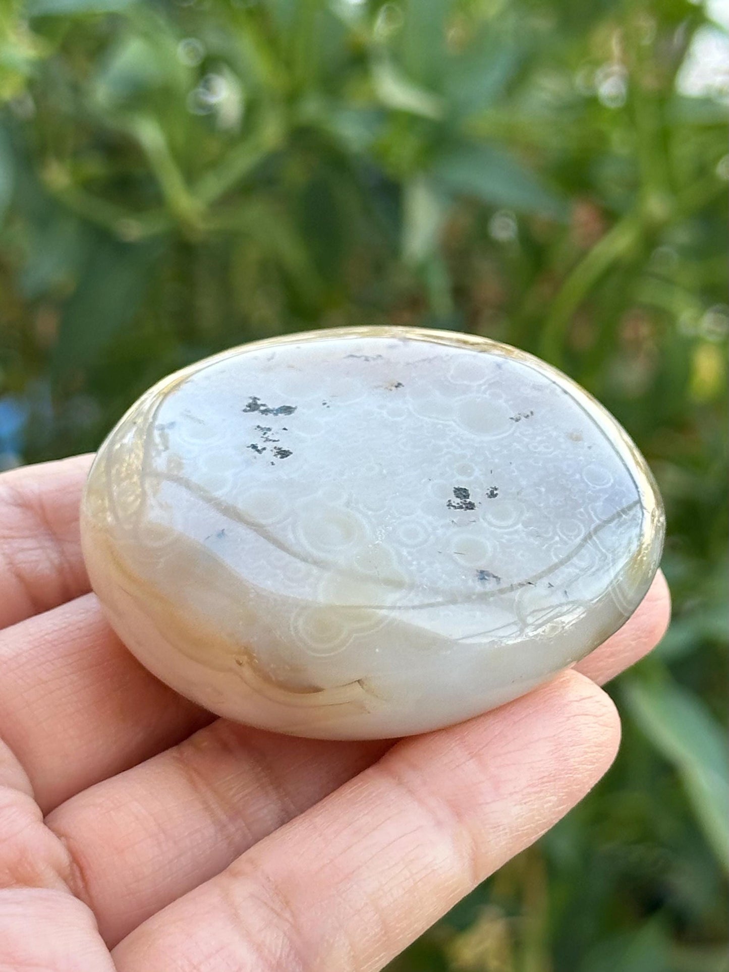 Dendritic Agate Palm Stone