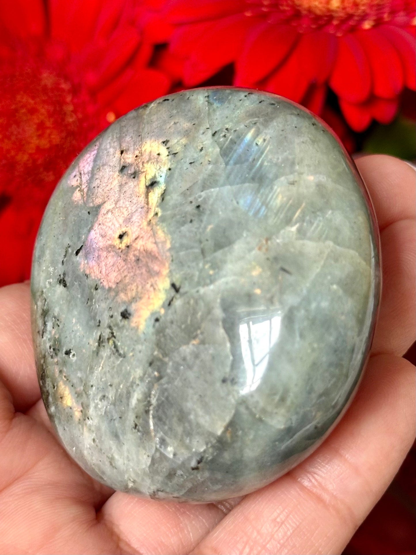Labradorite Palm Stone from Madagascar