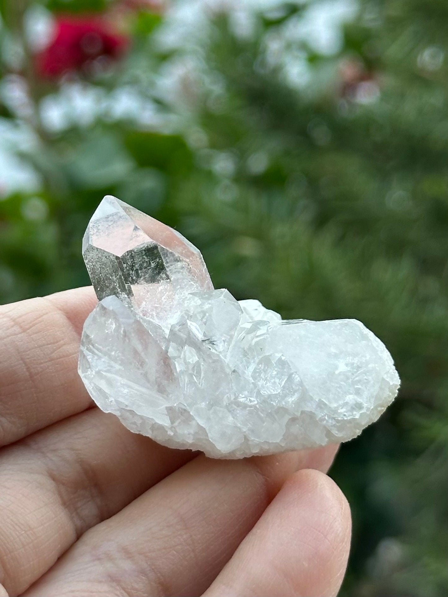 Clear Quartz Cluster from Brazil