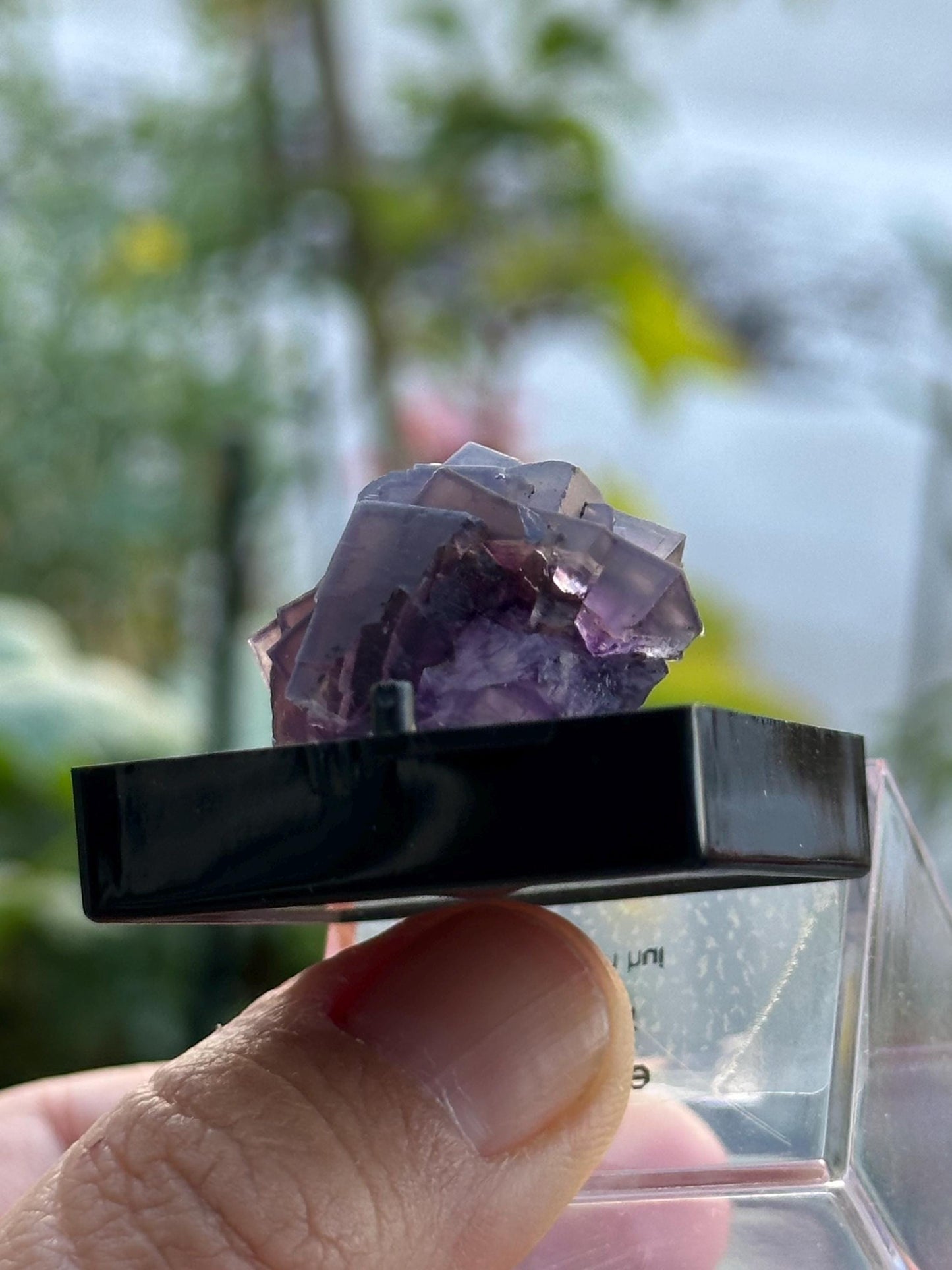 Purple Fluorite from Anhui, China