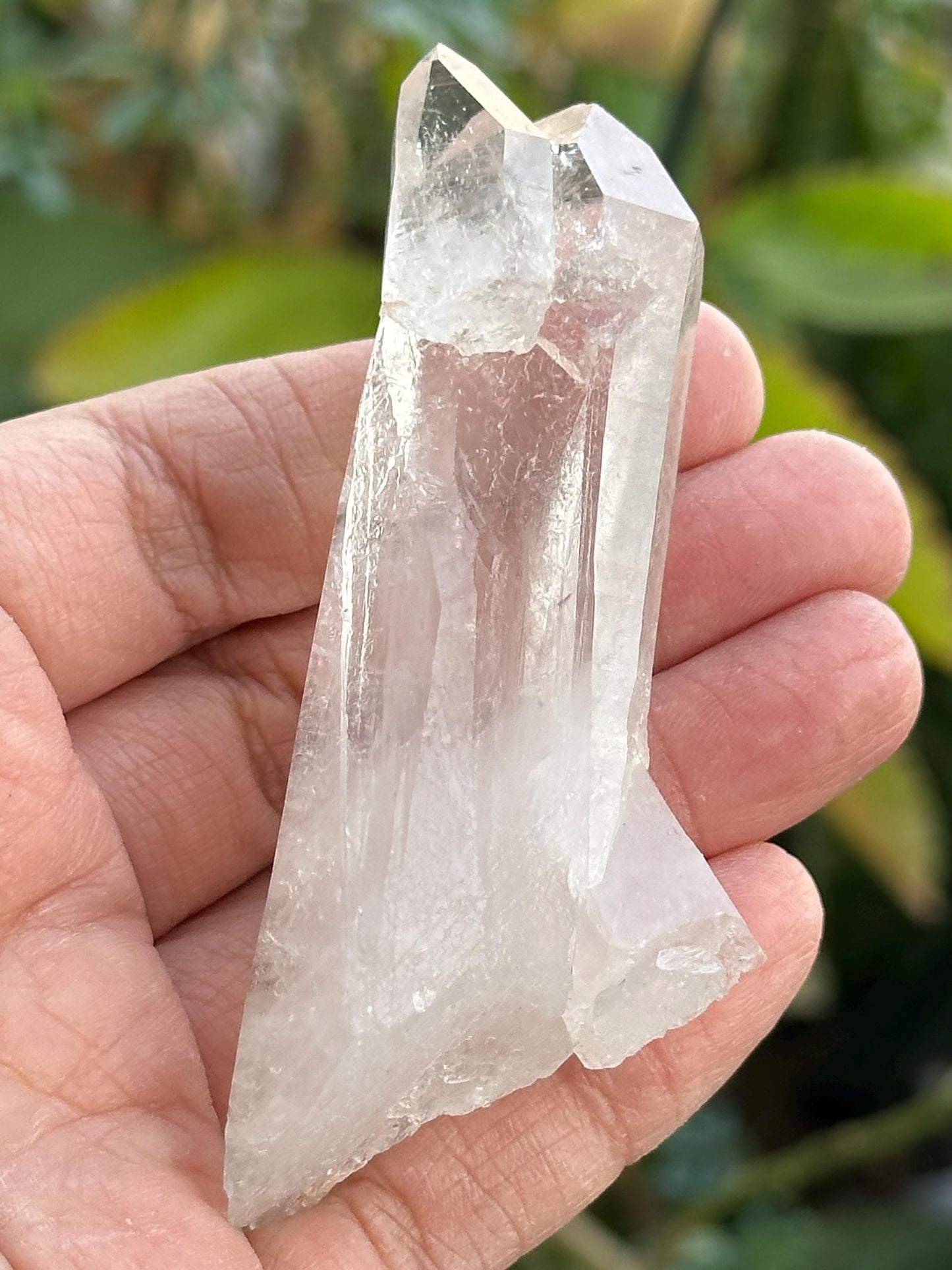 Lemurian Quartz