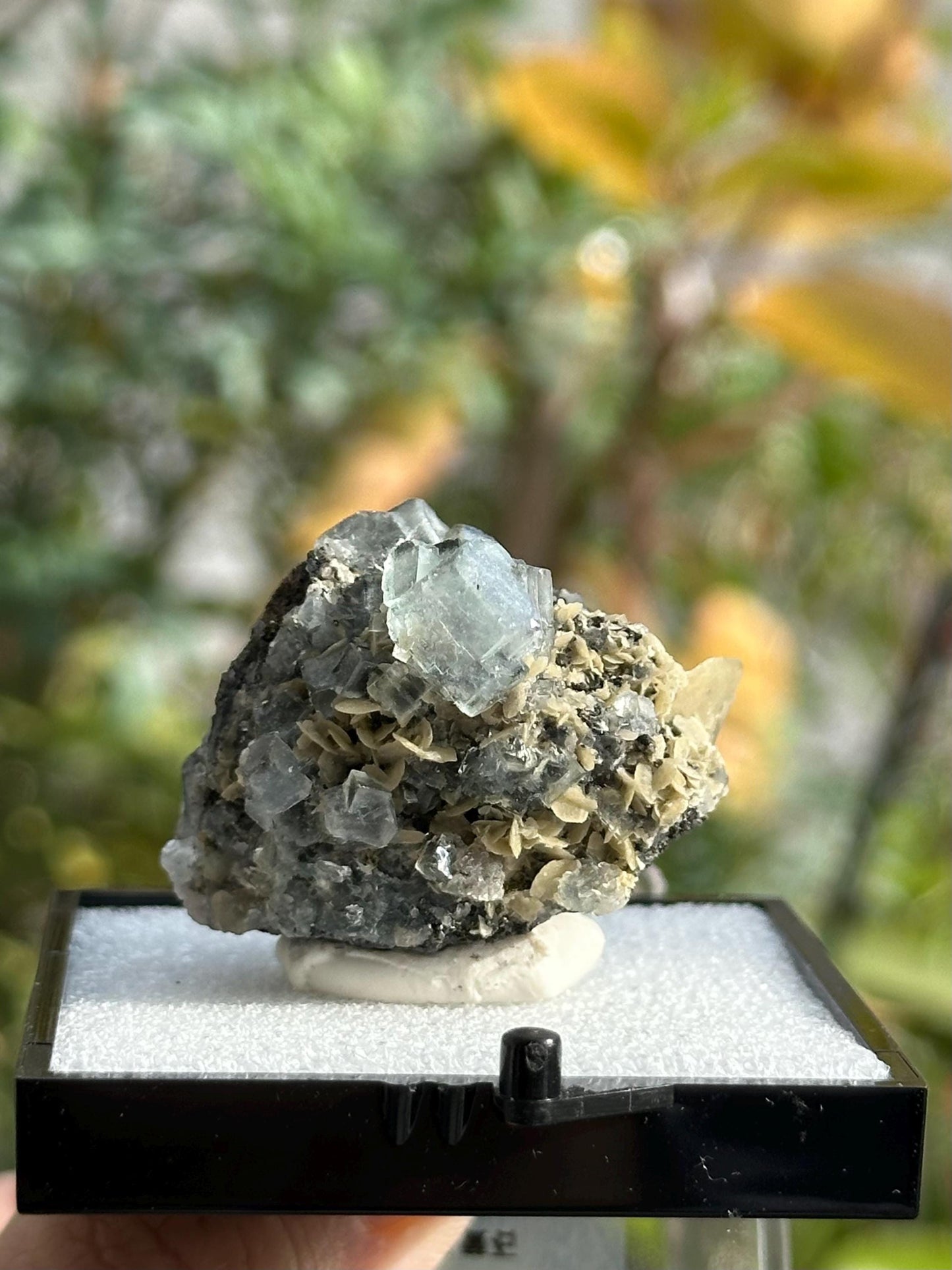 Yindu Fluorite with Calcite Specimen, in a perky box, from the Yindu Mine in Inner Mongolia, China - UV Reactive