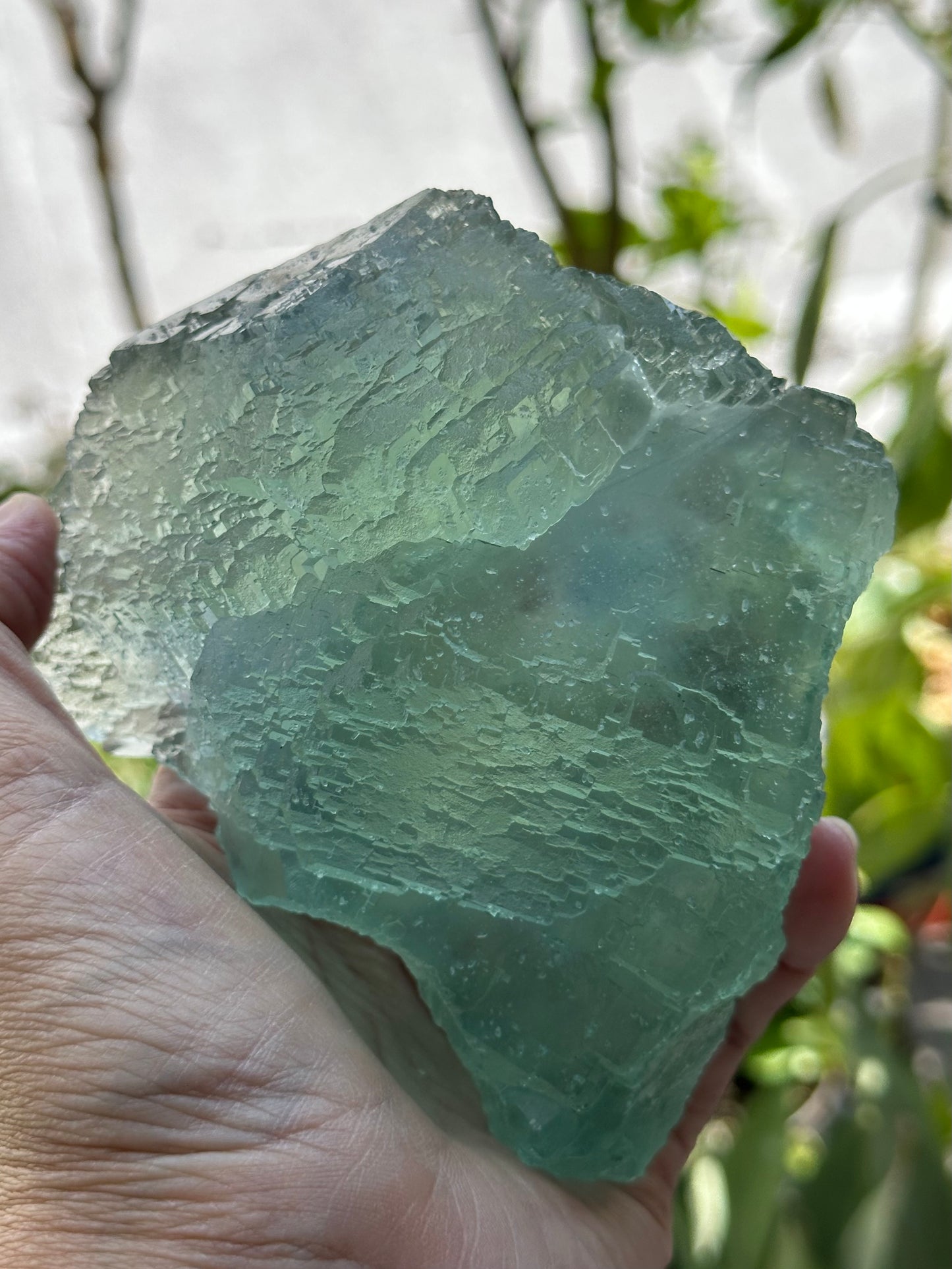 Green Fluorite from the Manaoshan Mine