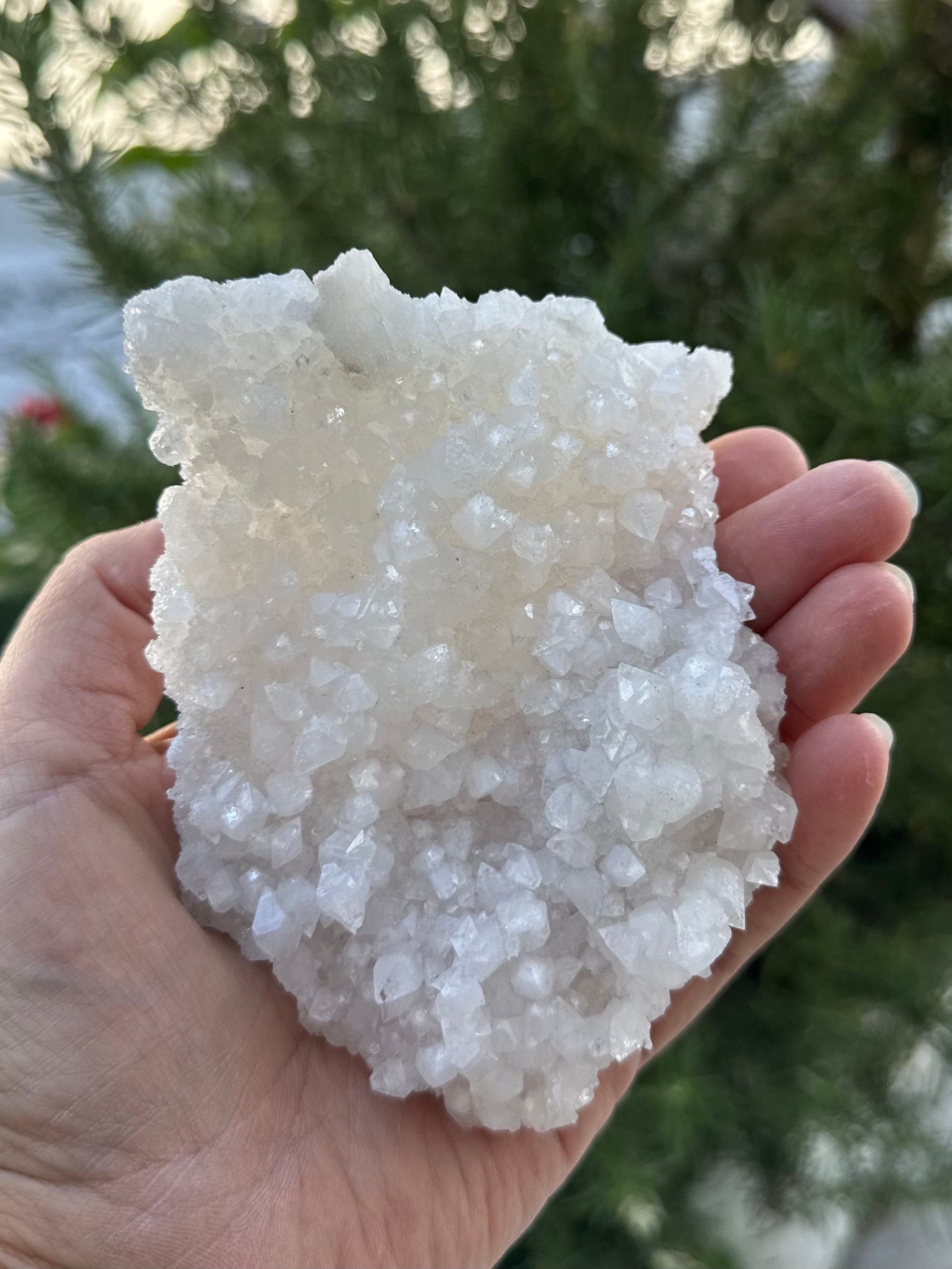 Apophyllite from India