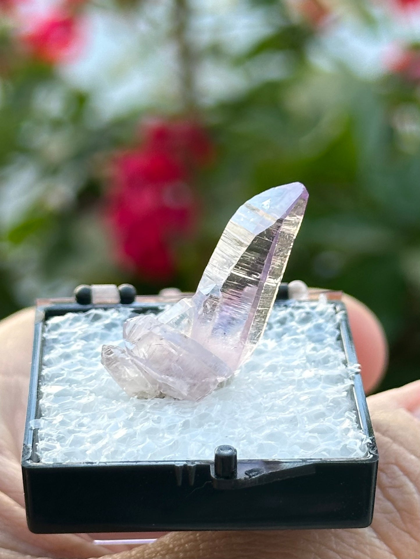 Veracruz Amethyst